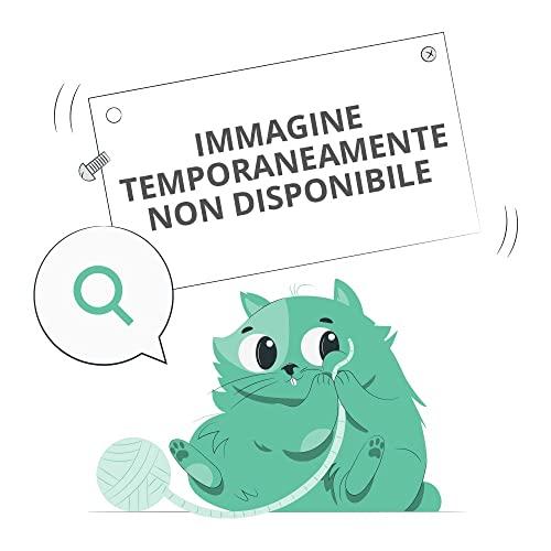 Erbamea Olio Essenziale Patchouli, 10 ml