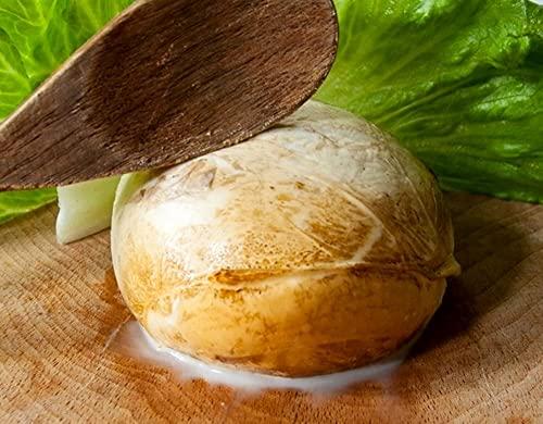 Provola Affumicata di Agerola kg. 1