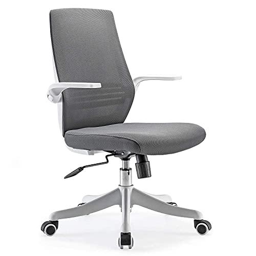 SIHOO Sedia da Ufficio Sedia Ergonomica Girevole a 360 °, Sedia da  Scrivania con Comodo Supporto Lombare, braccioli Pieghevoli e reversibili,  Sedia da Computer con Ruote in Nylon(Grigio)