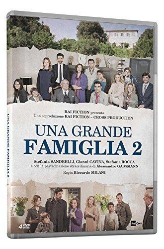 Una Grande Famiglia Stg.2 (Box 4 Dvd)