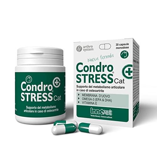 Condrostress (+), Supporto del Metabolismo cartilagineo e sinoviale per Gatti in Caso di Osteoartrite, preserva la capacità di Movimento, neutralizza i Radicali Liberi - Confezione da 30 Capsule