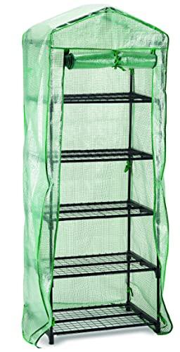 Serra 5 ripiani pomodori con finestra in pvc da giardino - S1144716