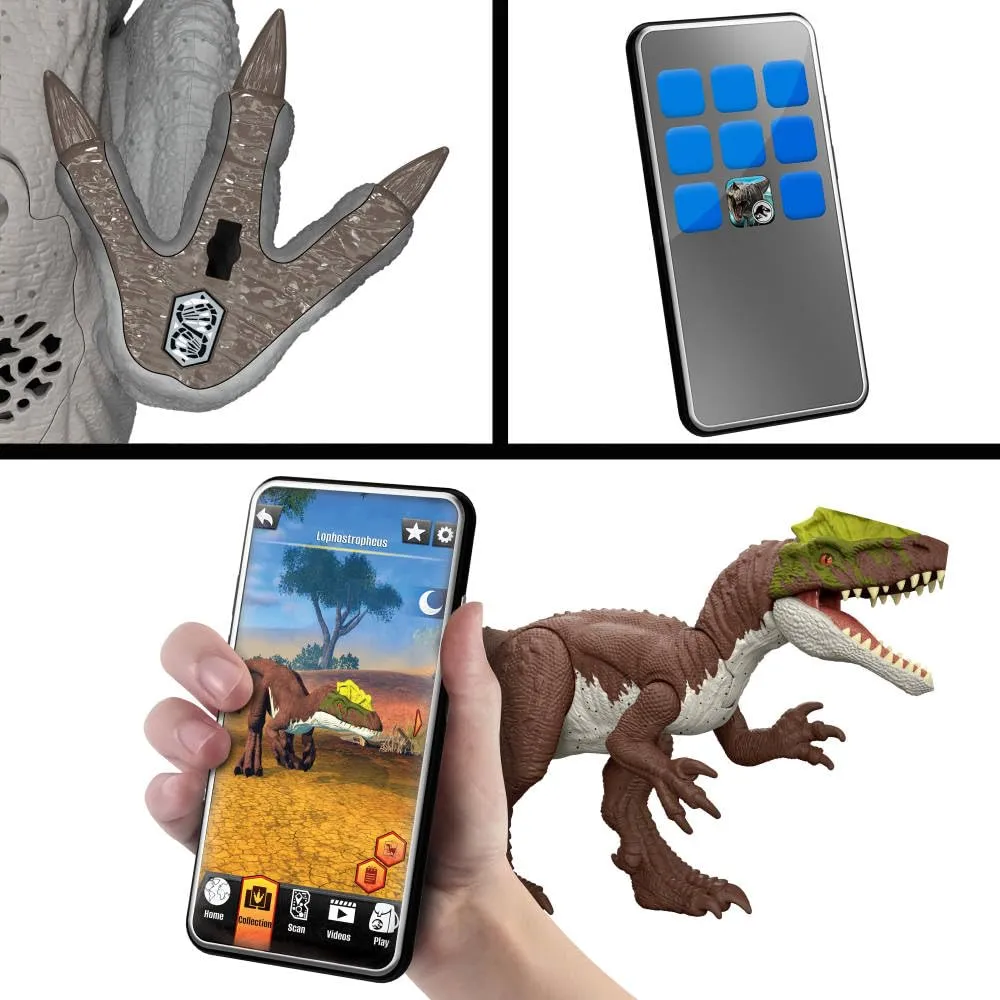 Miniatura 6