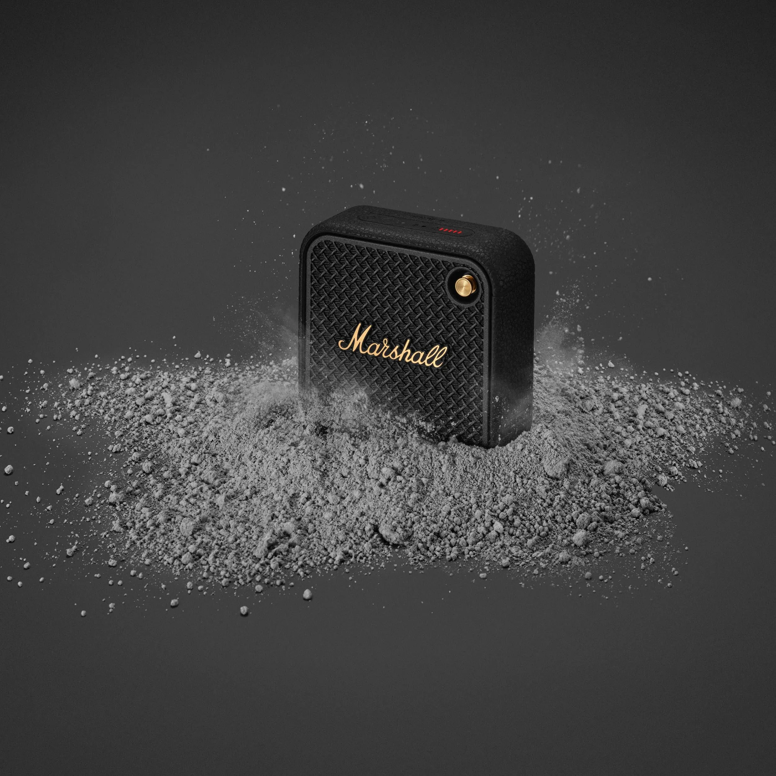 Miniatura 12