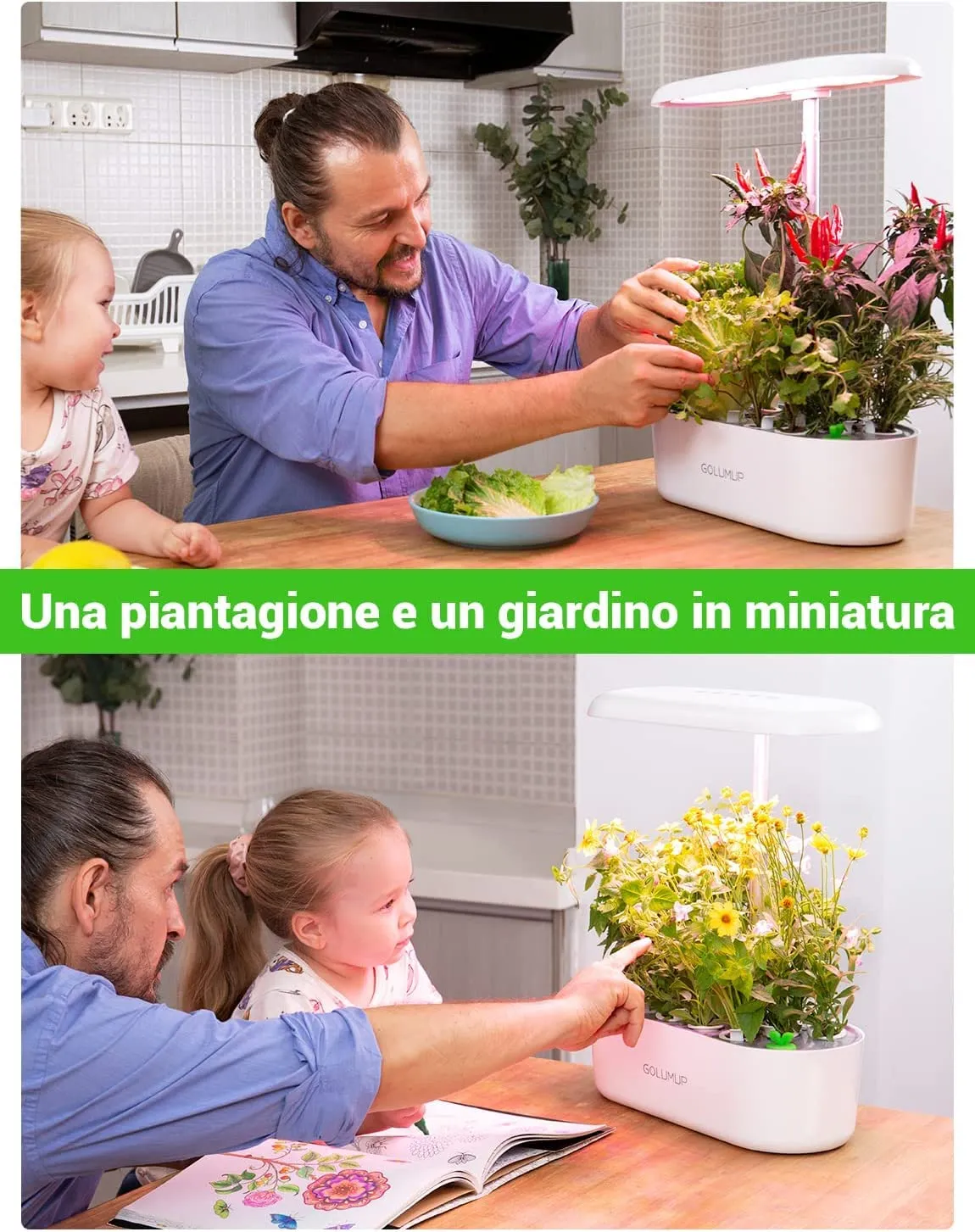 Miniatura 6