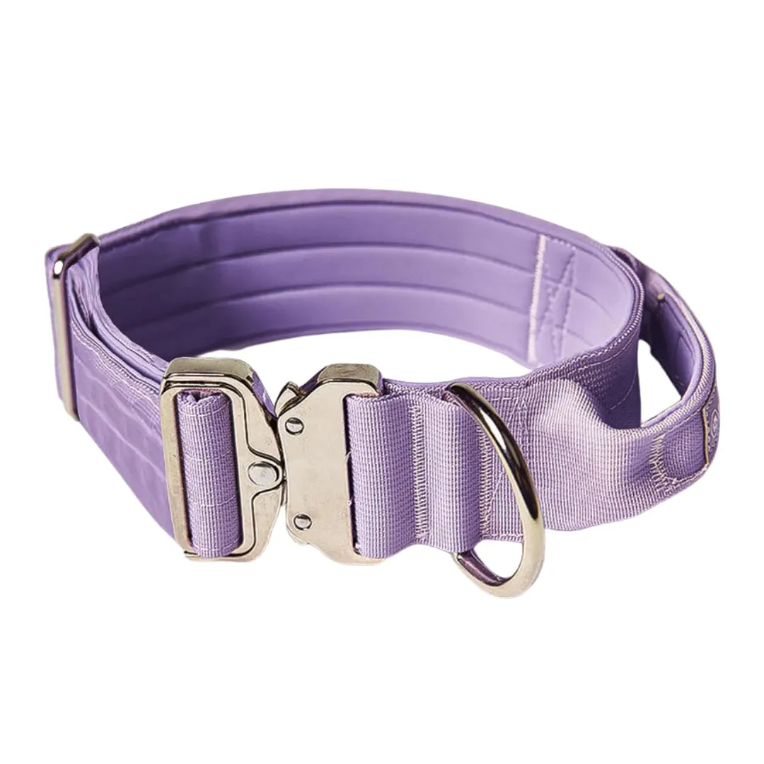 Spark Paws Collare tattico per cani, resistente, di alta qualità, spesso e durevole, per cani di taglia grande e media, viola, M