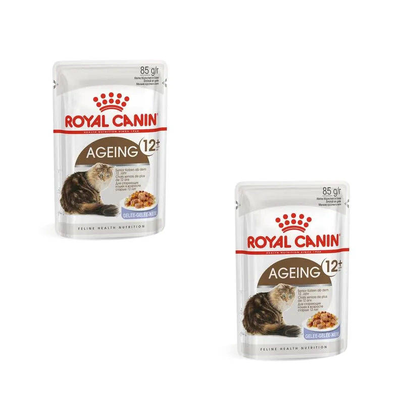 Royal Canin Ageing 12+ pezzi fini in gelatina | Confezione Doppia | 2 x 12 x 85 g | Alimento umido per gatti anziani | Alimento completo per gatti anziani di 12 anni e oltre