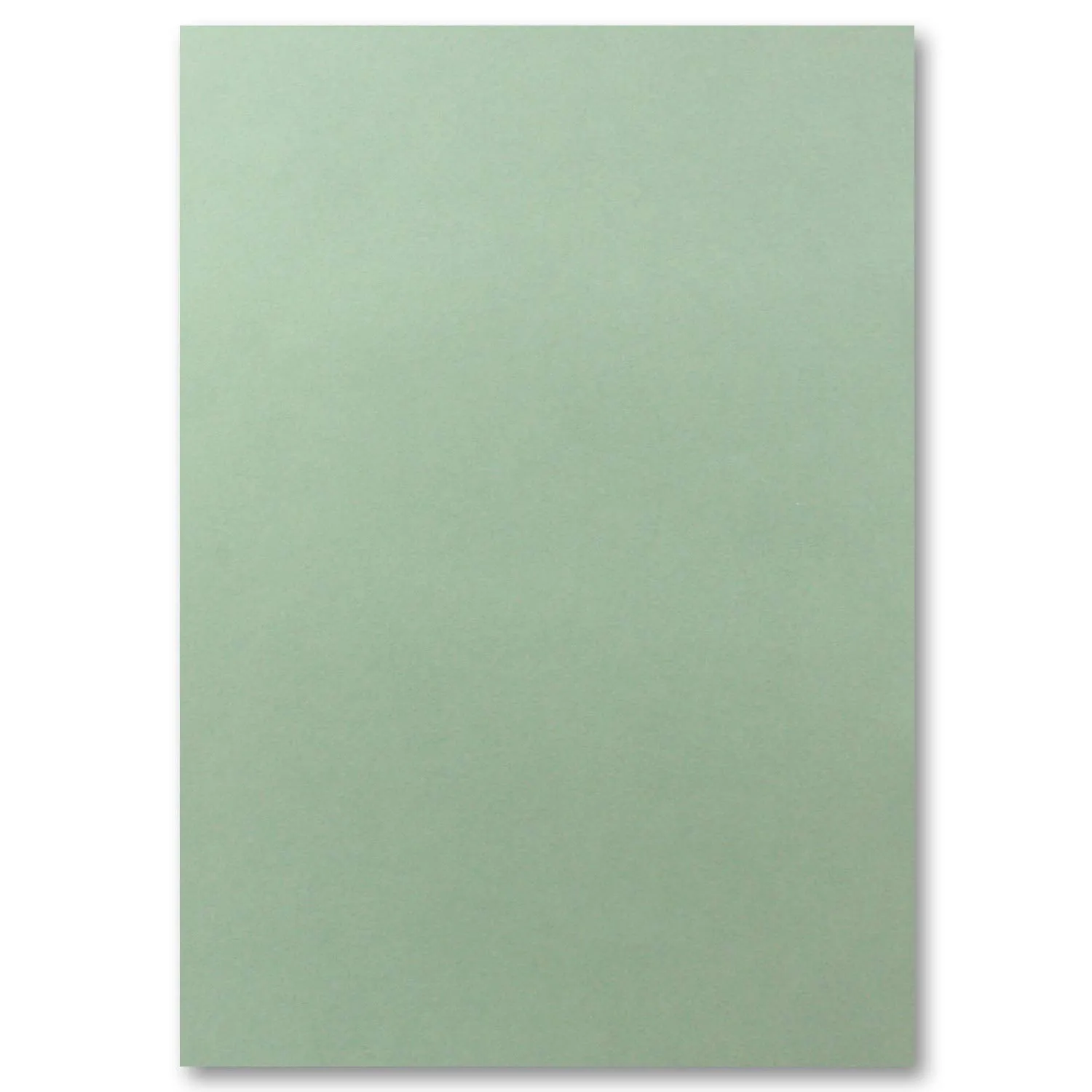 50 Fogli di carta DIN A4 fogli plano - eucalipto (verde) - 240 g/m² - 21 x 29,7 cm - foglio per bricolage carta creta cartone fotografico carta per bricolage cartone creta - FarbenFroh