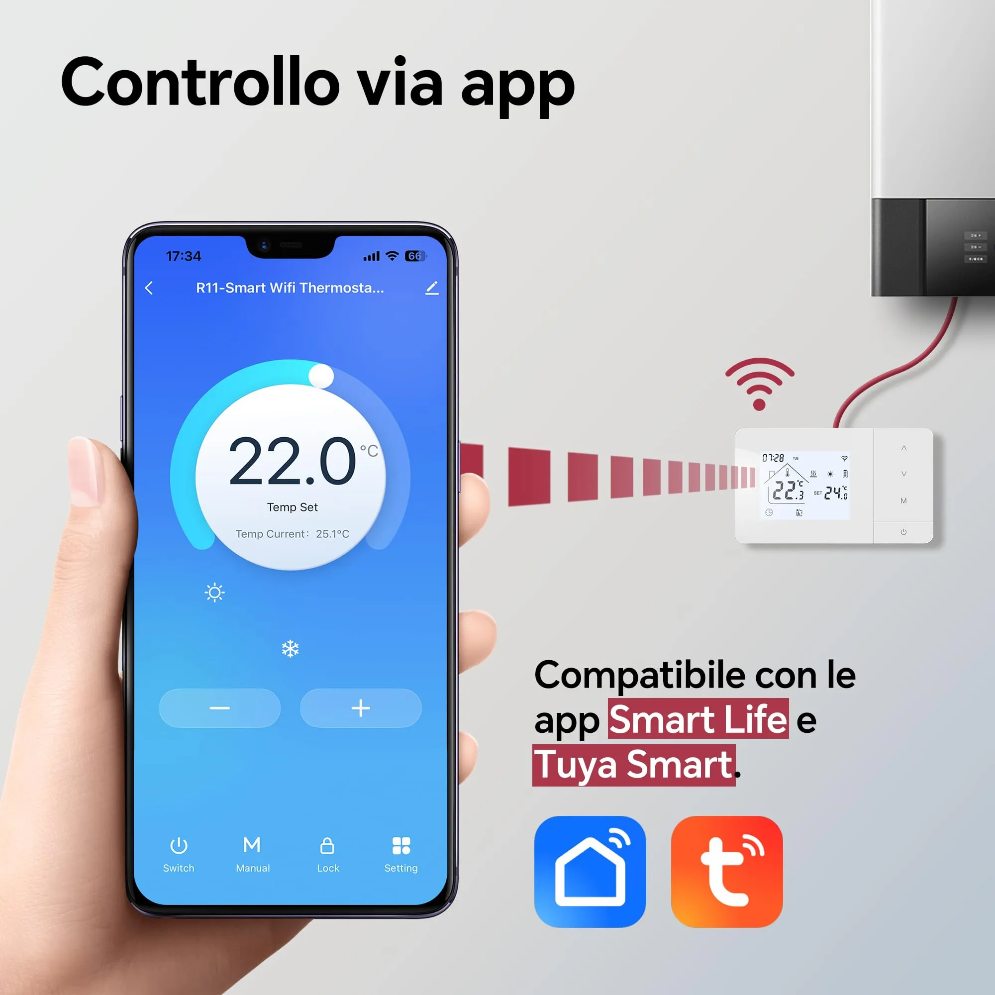 Miniatura 6