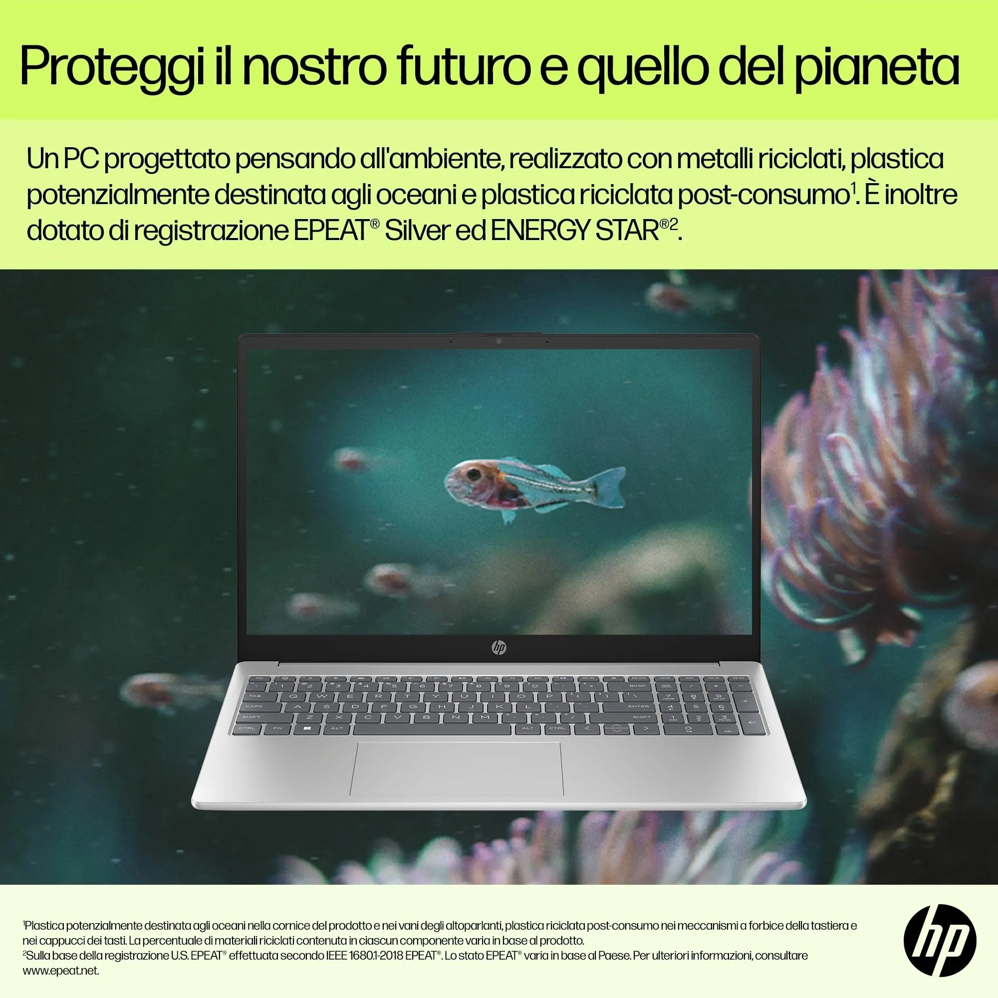 Miniatura 13