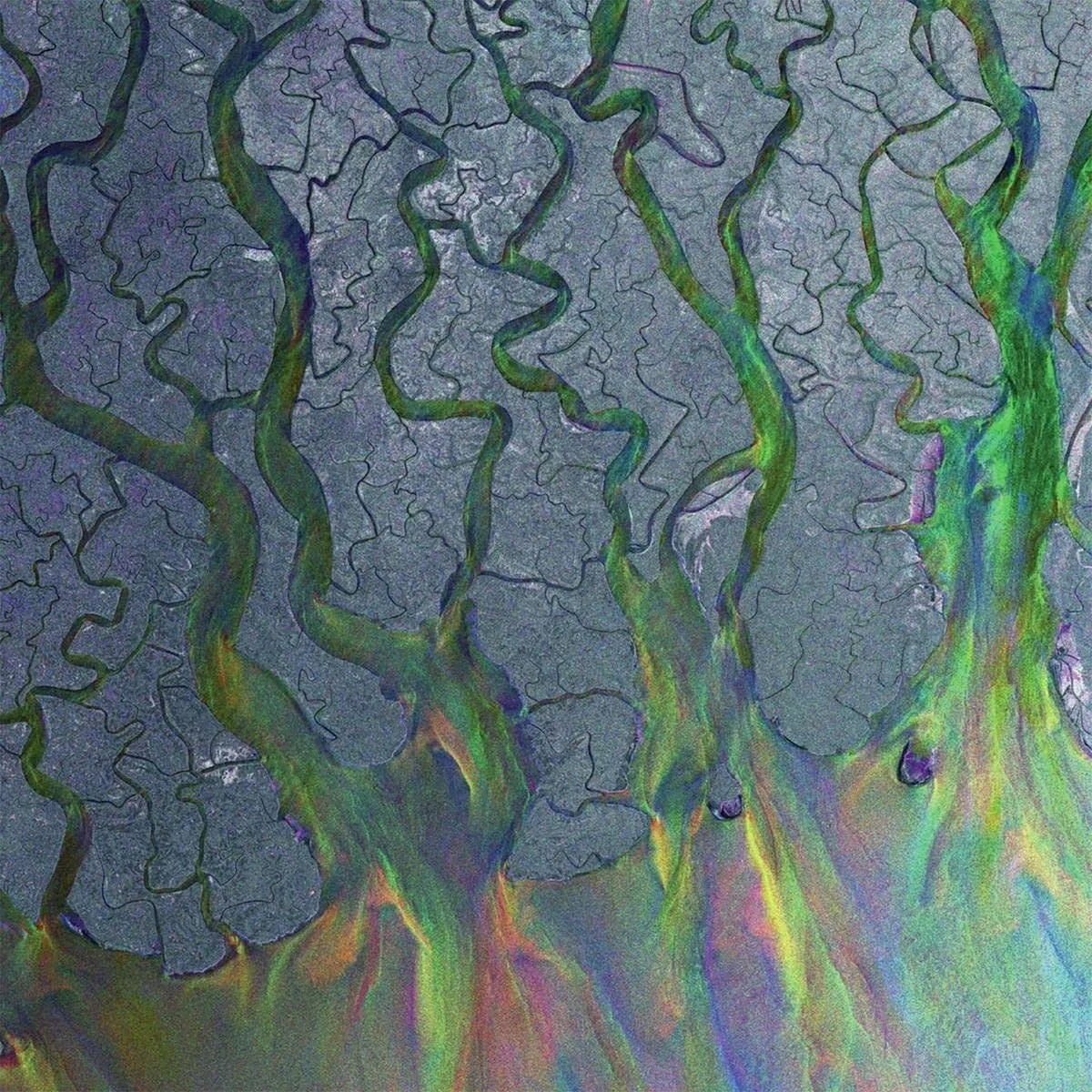 INFECTIOUS MUSIC an awesome wave