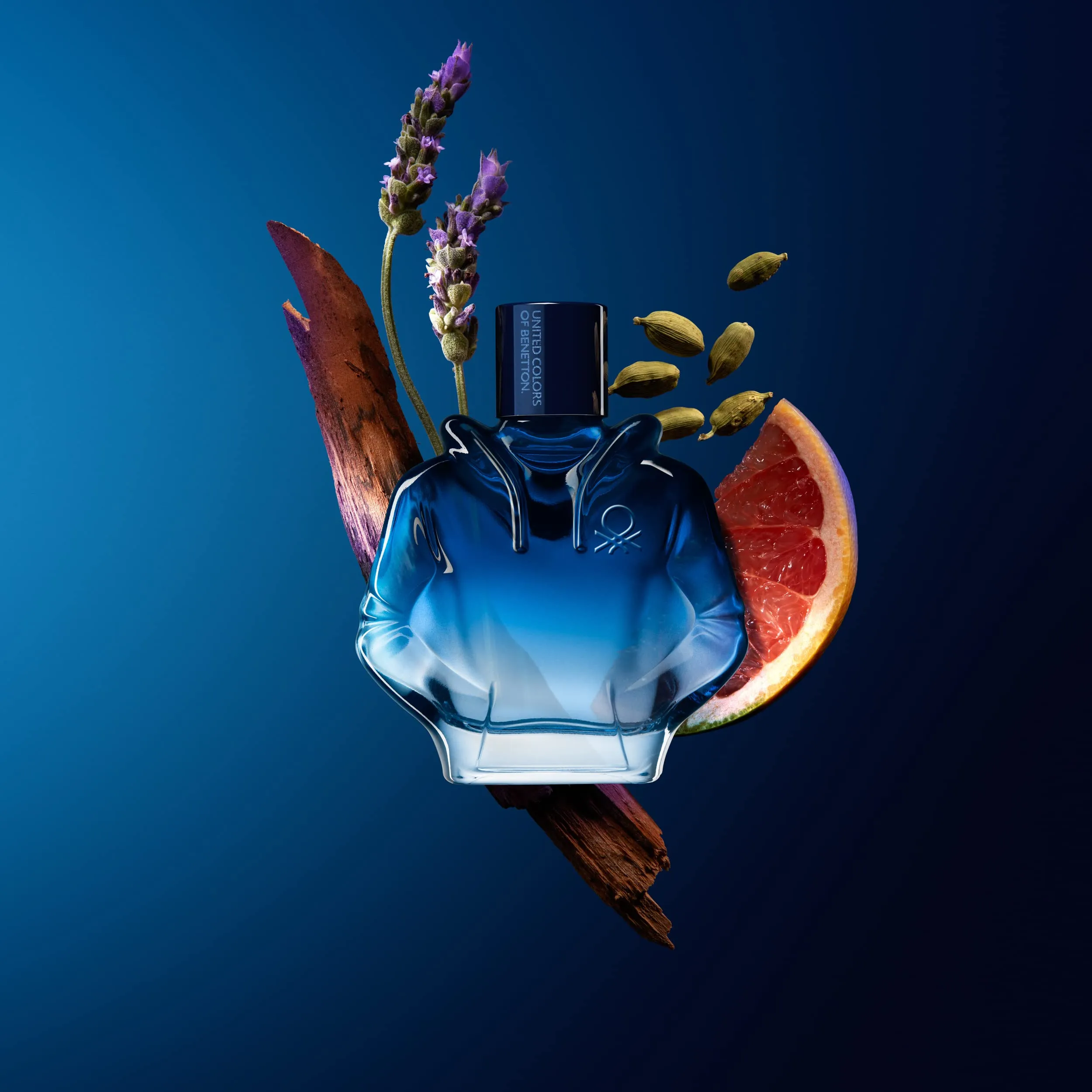 Miniatura 7