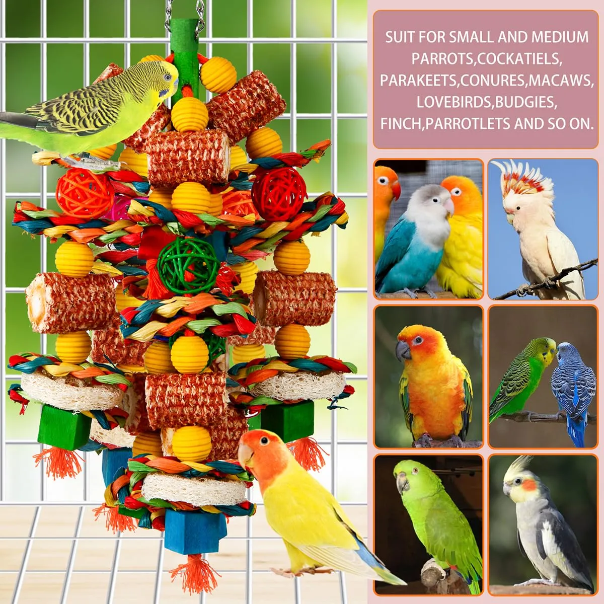 Miniatura 4