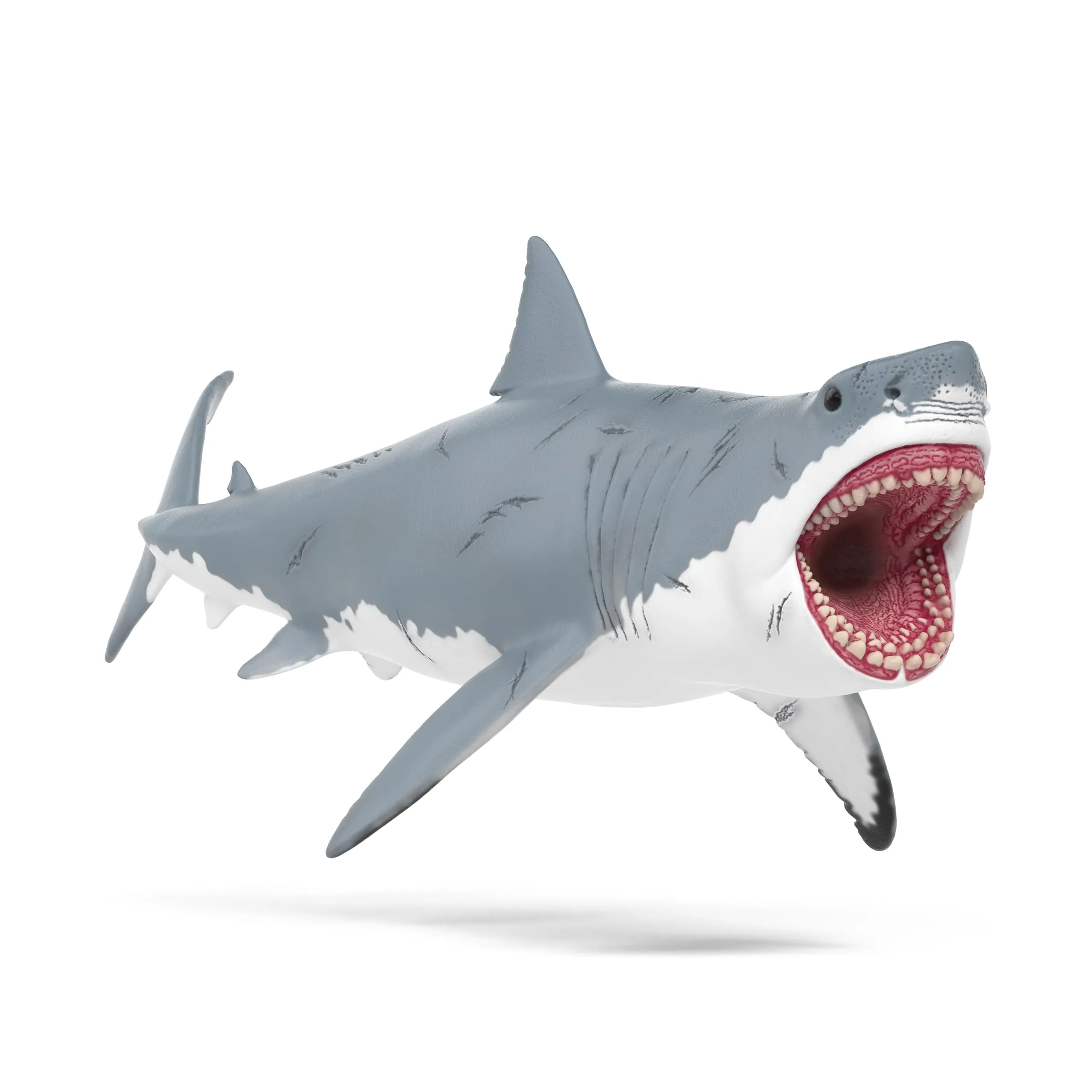 schleich Dinosaurs | Megalodonte 15055 | Figura dettagliata di squalo preistorico con cicatrici | Figura da Collezione e Gioco per Bambini e Appassionati di Dinosauri | dai 3 Anni | 28 x 11 x 12 cm