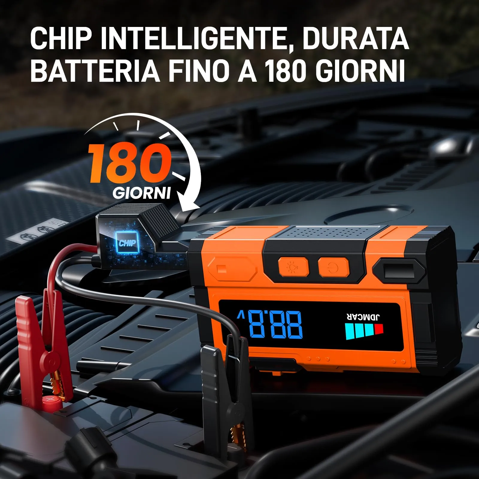 Miniatura 7