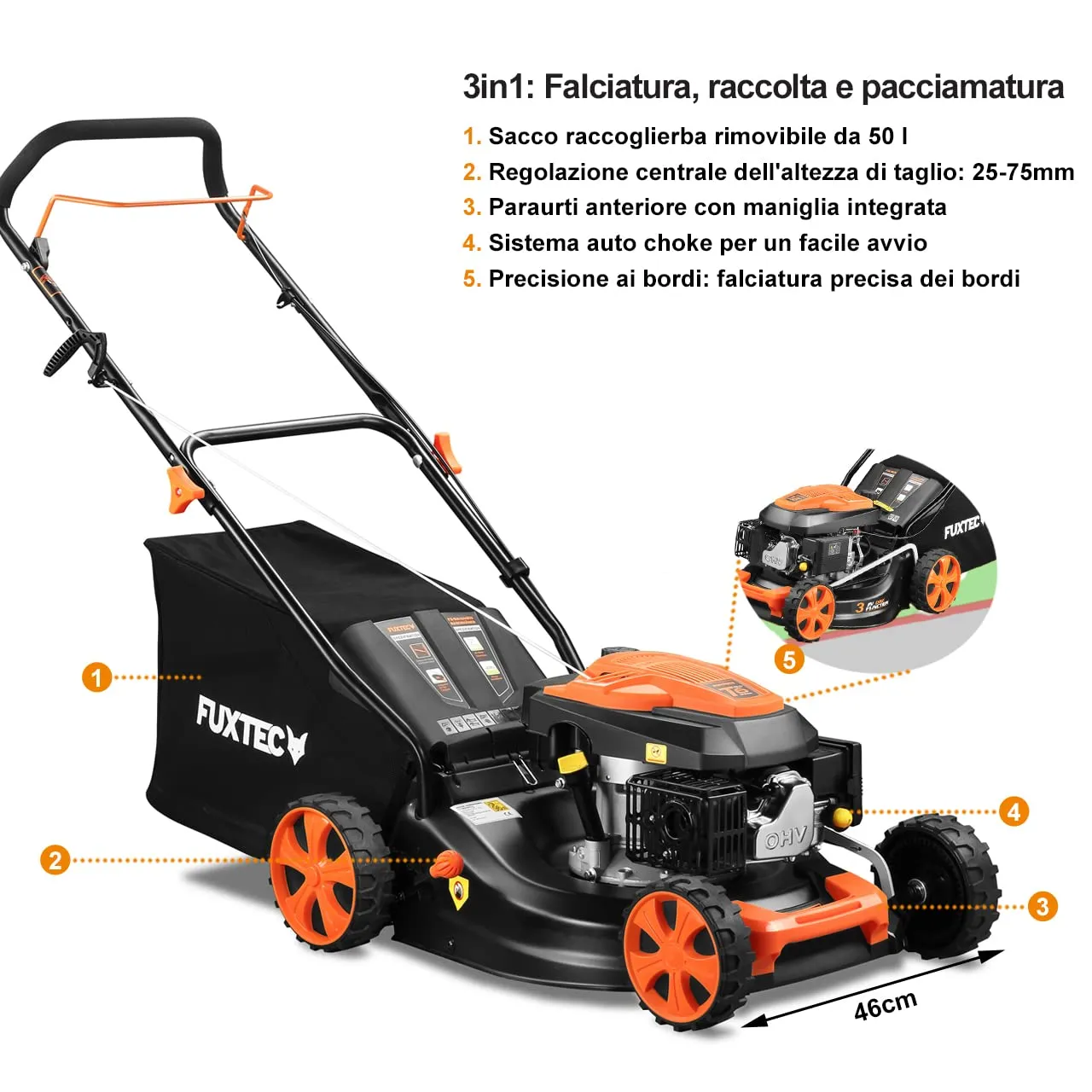 Miniatura 12
