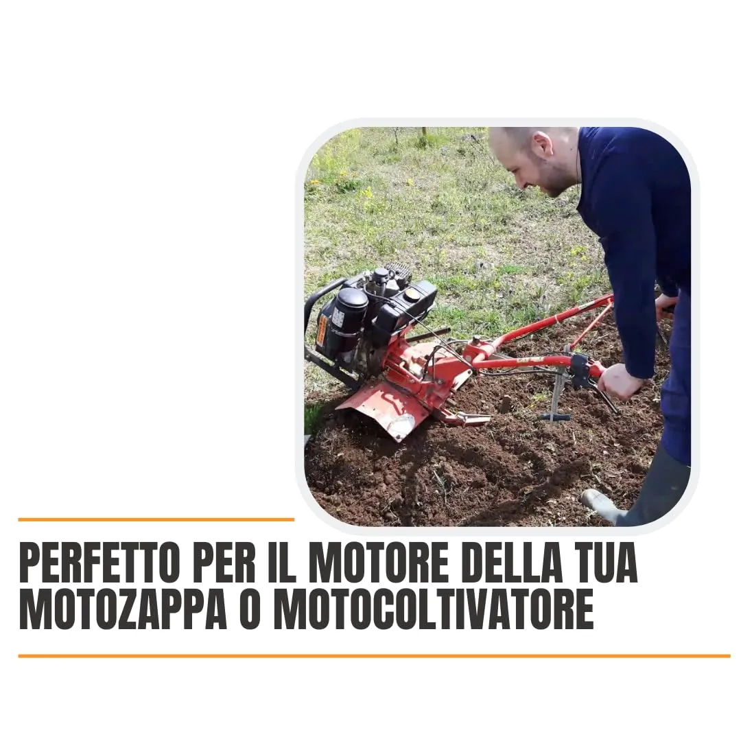 Miniatura 9