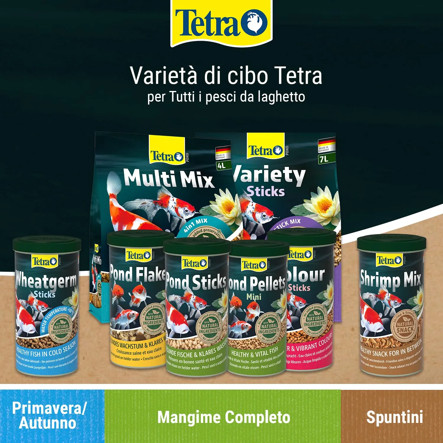 Miniatura 9