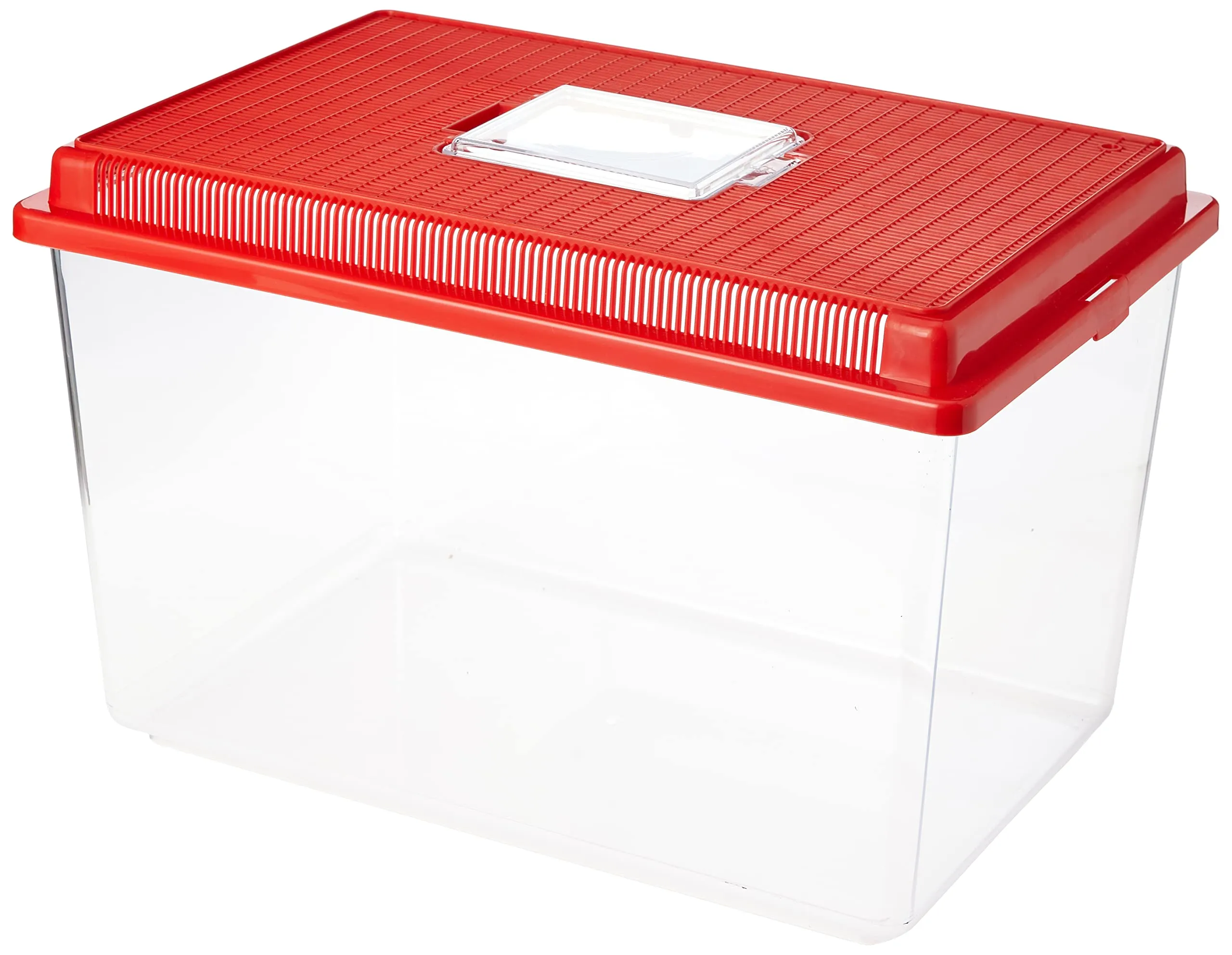 Ferplast Contenitore plastica piccoli animali GEO EXTRA LARGE Vasca acquario 11 L per pesci Terrario tartarughe insetti, Robusta plastica, Fessure di ventilazione, 35,6 x 23,4 x h 22,8 cm Rosso