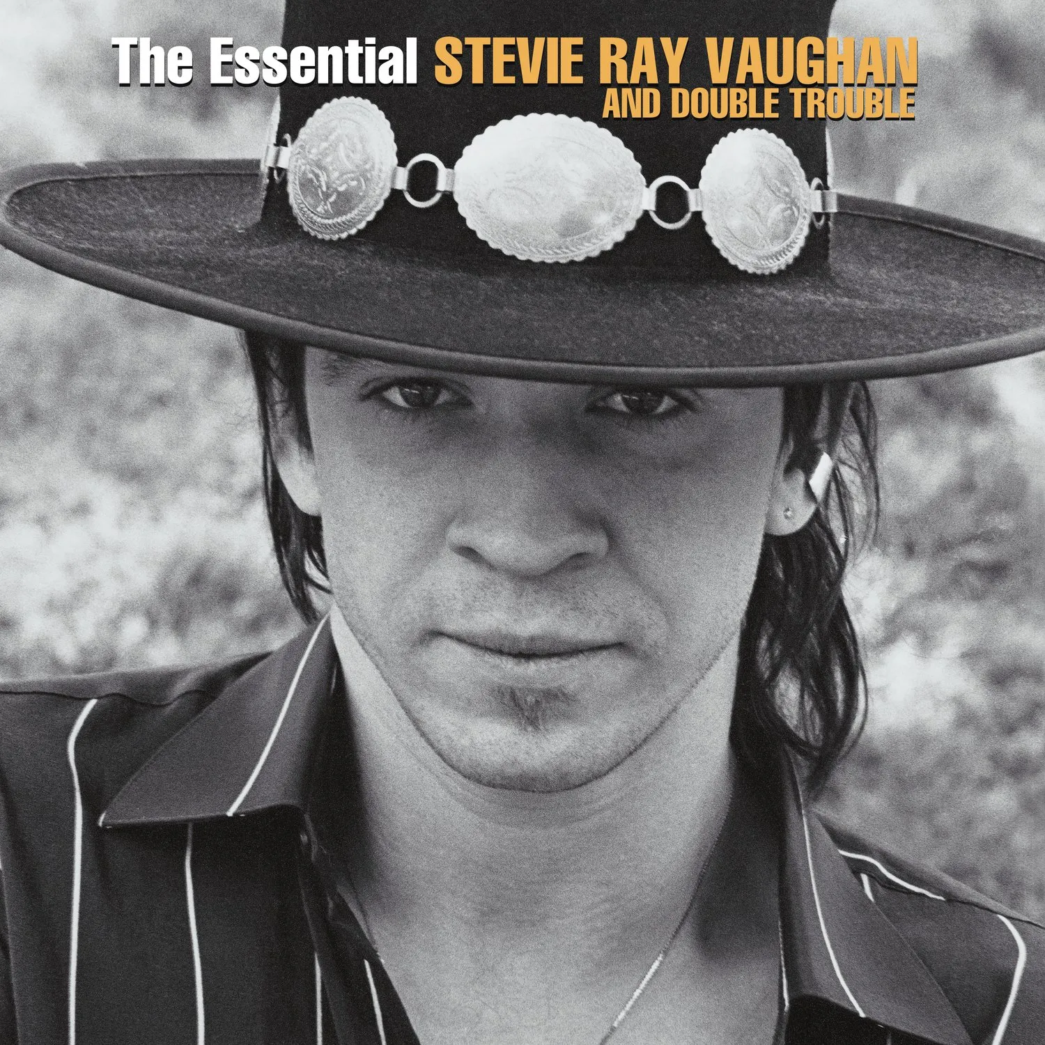 The Essential Stevie Ray Vaughan And Double Trouble [2 LP]