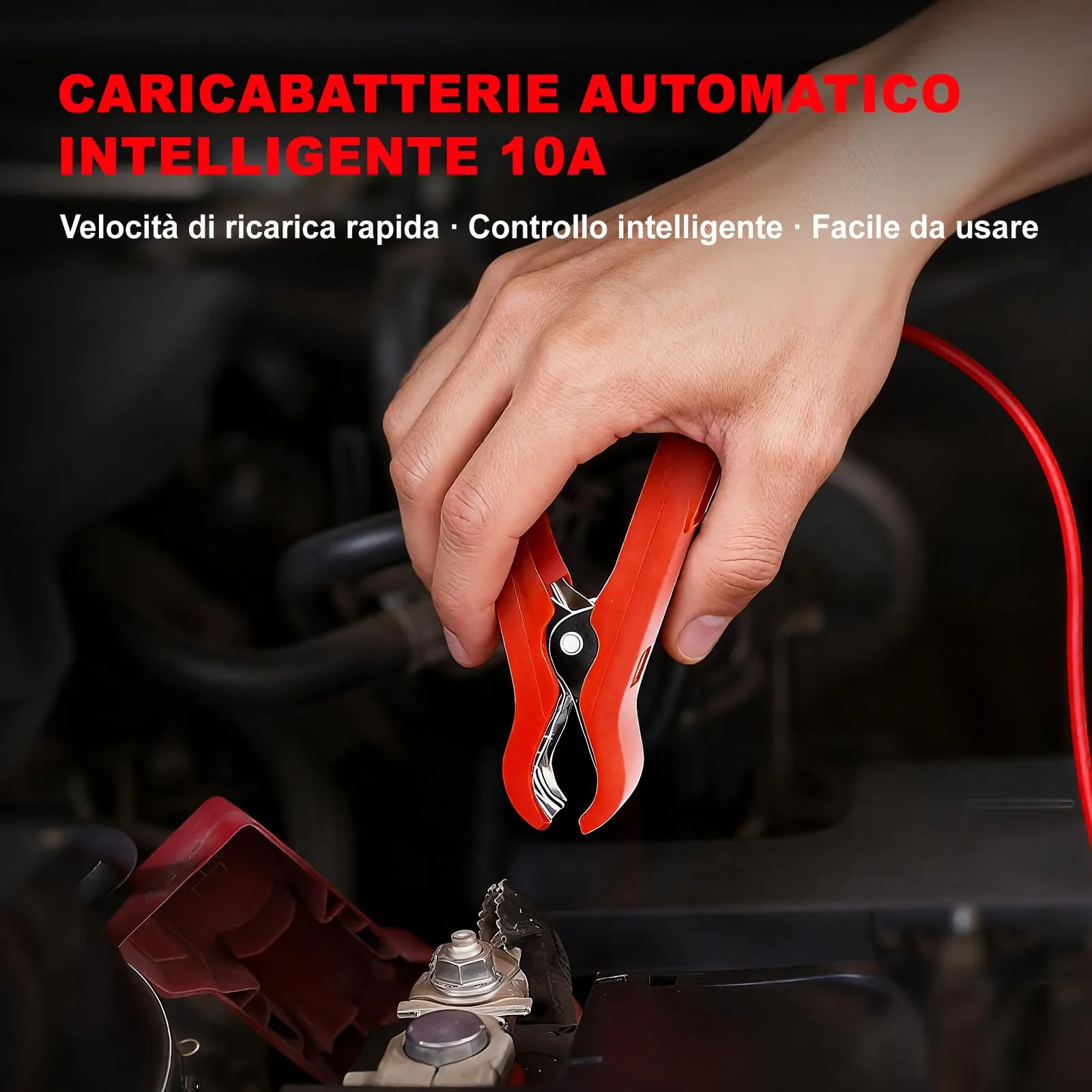 Miniatura 5