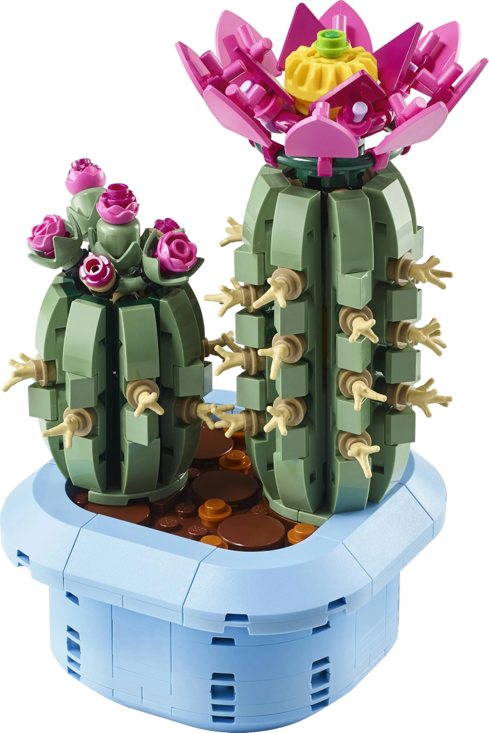 Miniatura 11