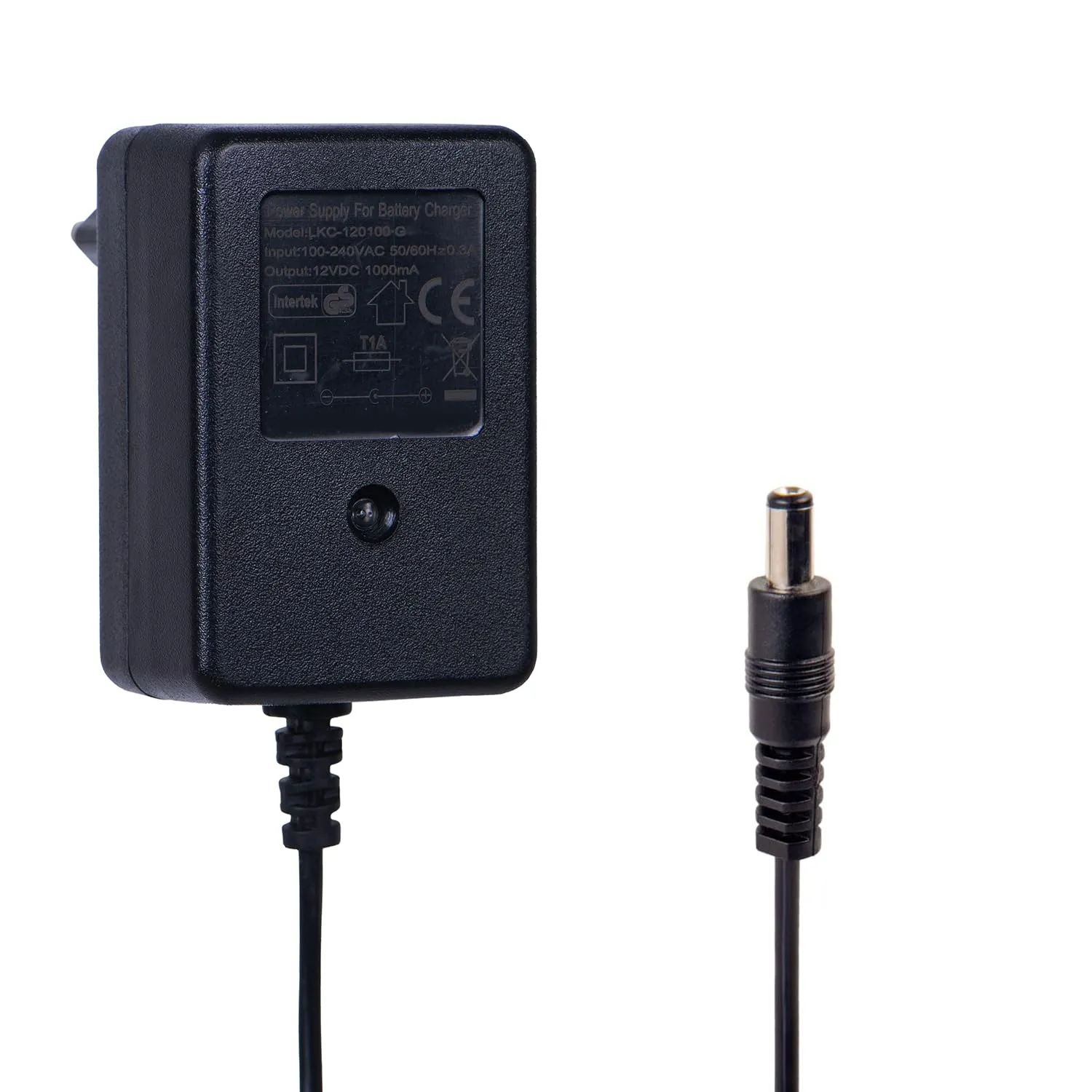 12V caricabatterie per auto elettriche per bambini, 12V 1A caricabatterie per elettrico cavalcare giocattoli, moto, SUV, ATV, auto, una varietà di auto elettriche