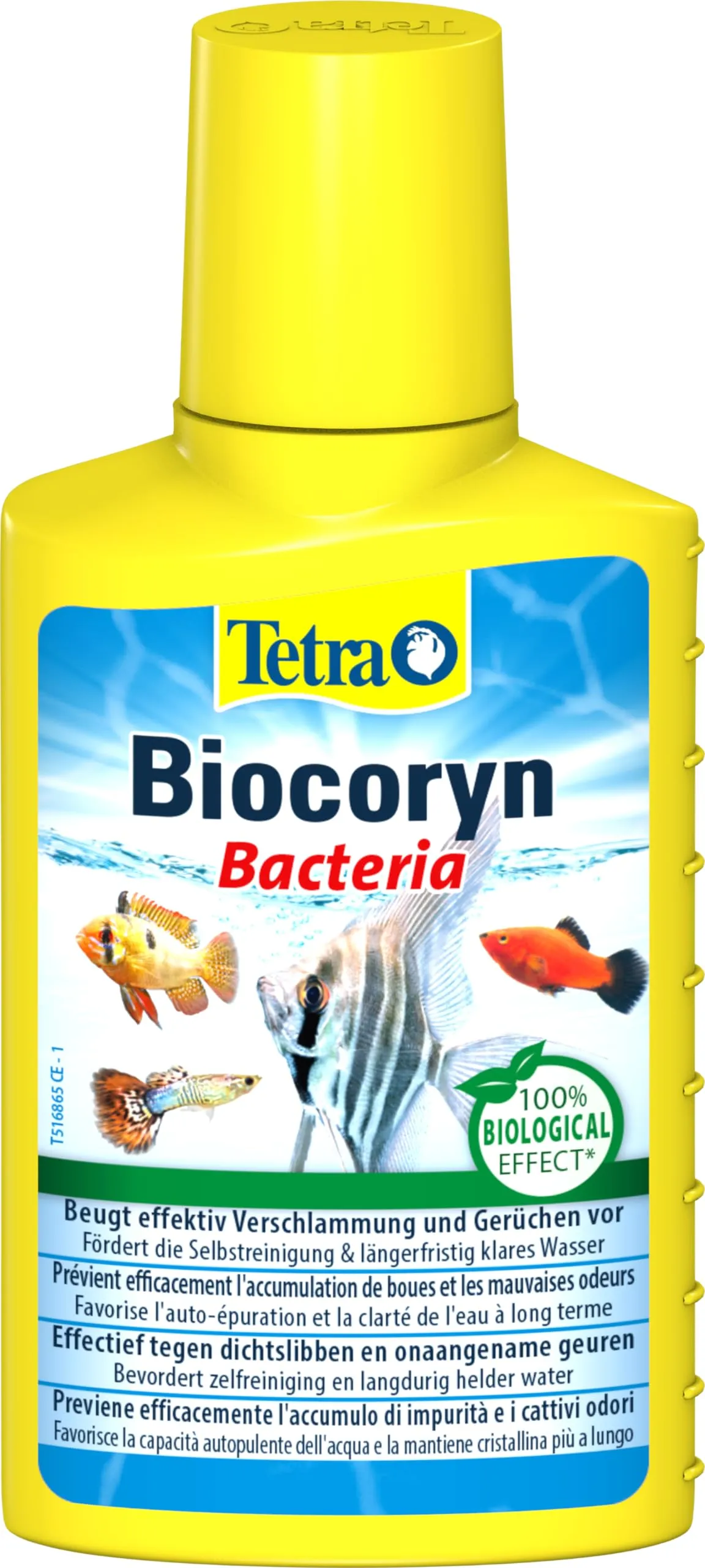 Tetra Biocoryn