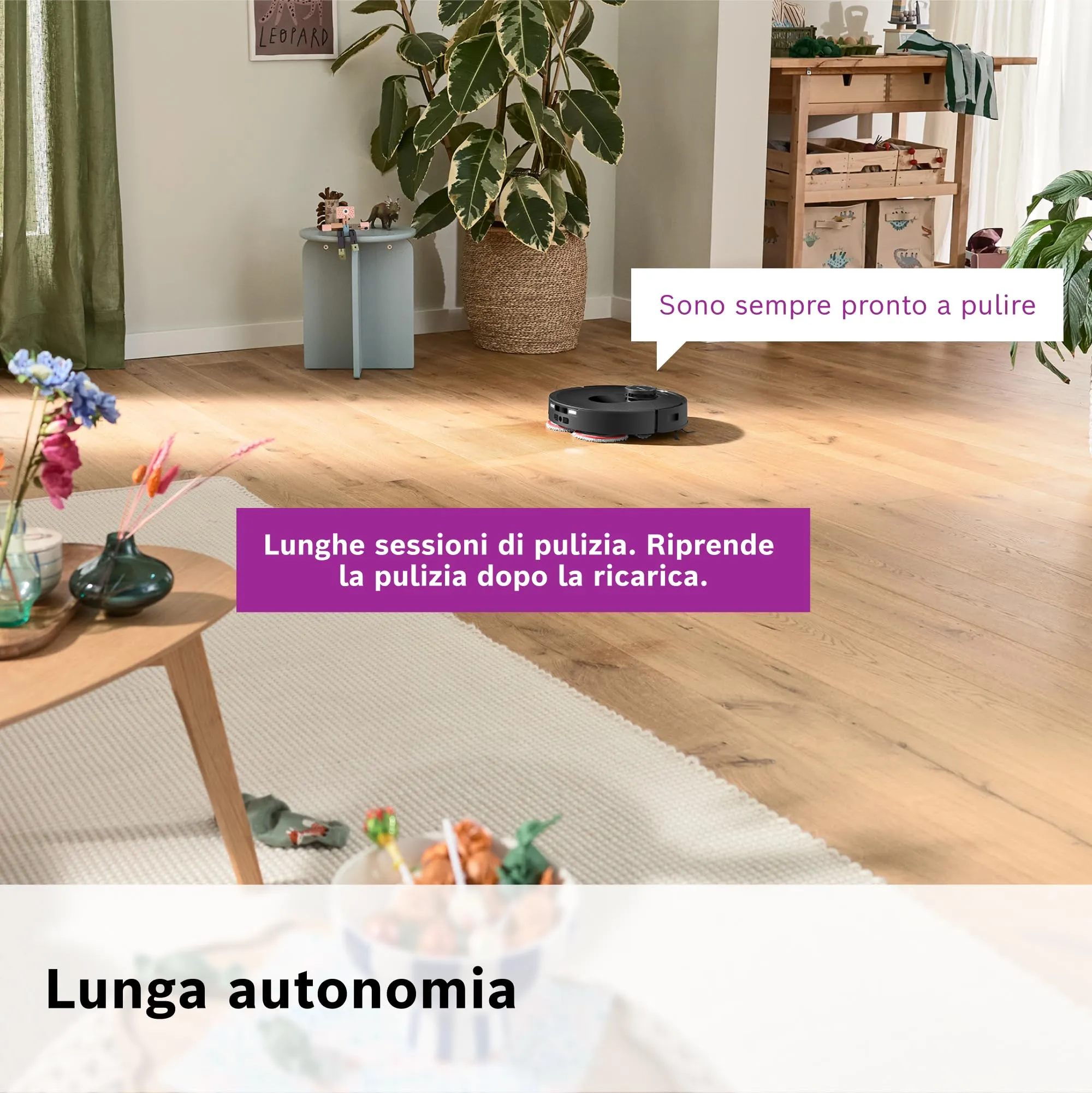Miniatura 15