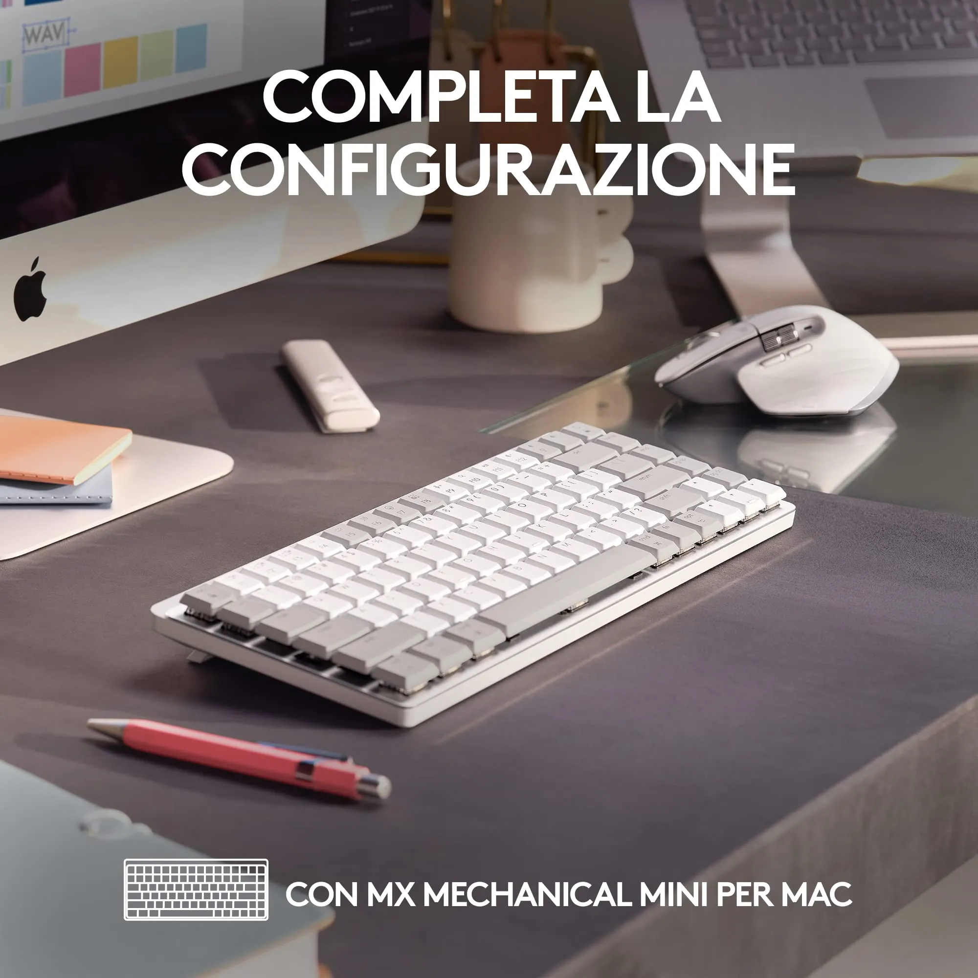 Miniatura 11
