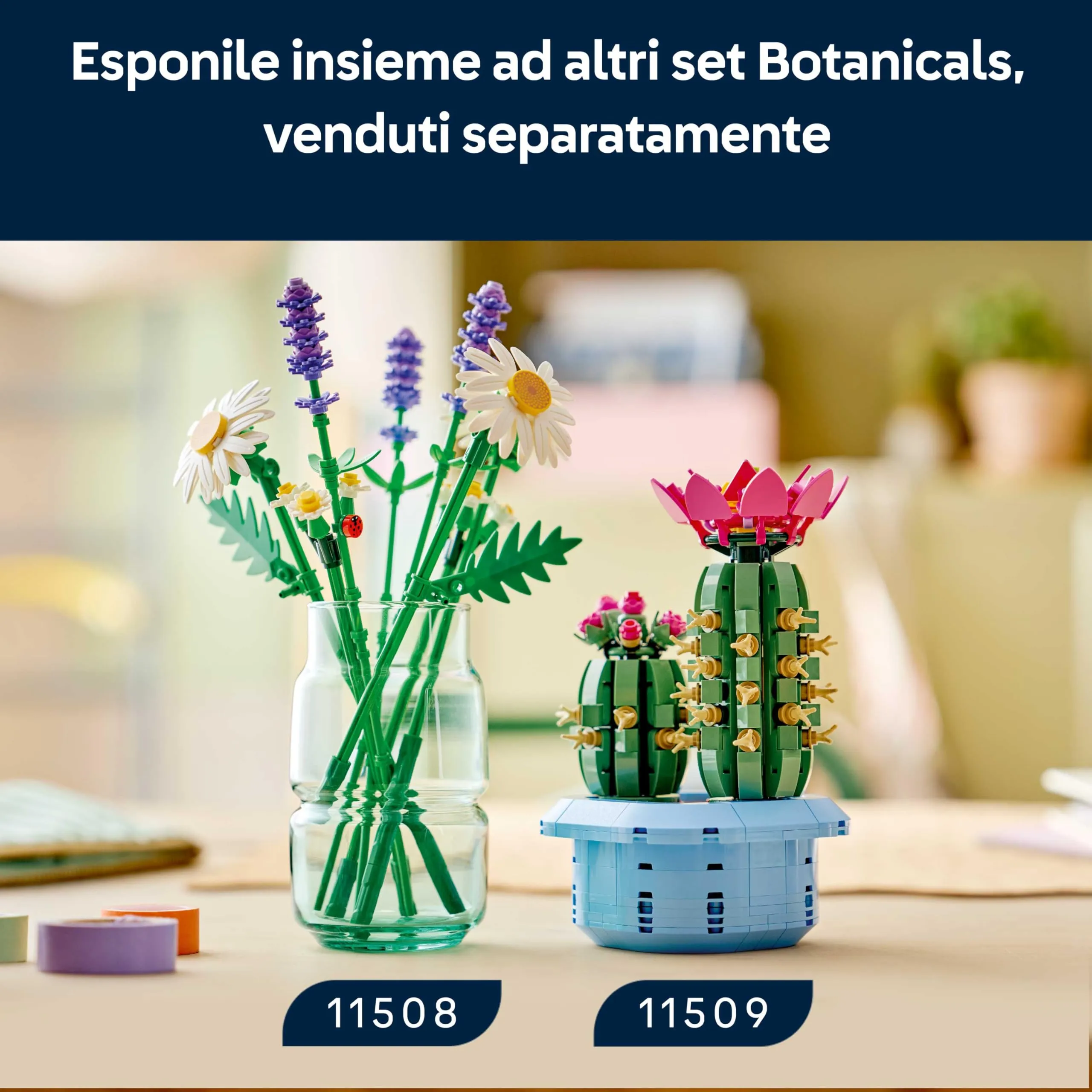 Miniatura 8