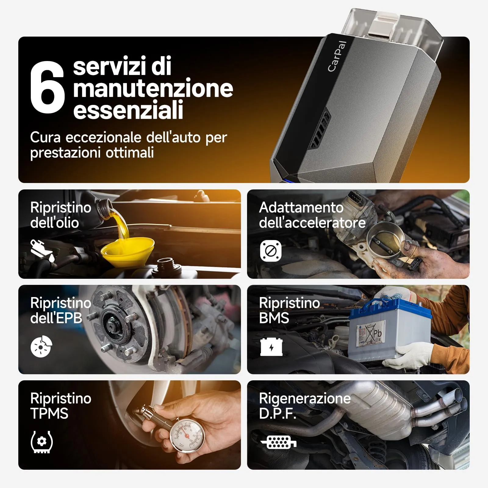 Miniatura 5