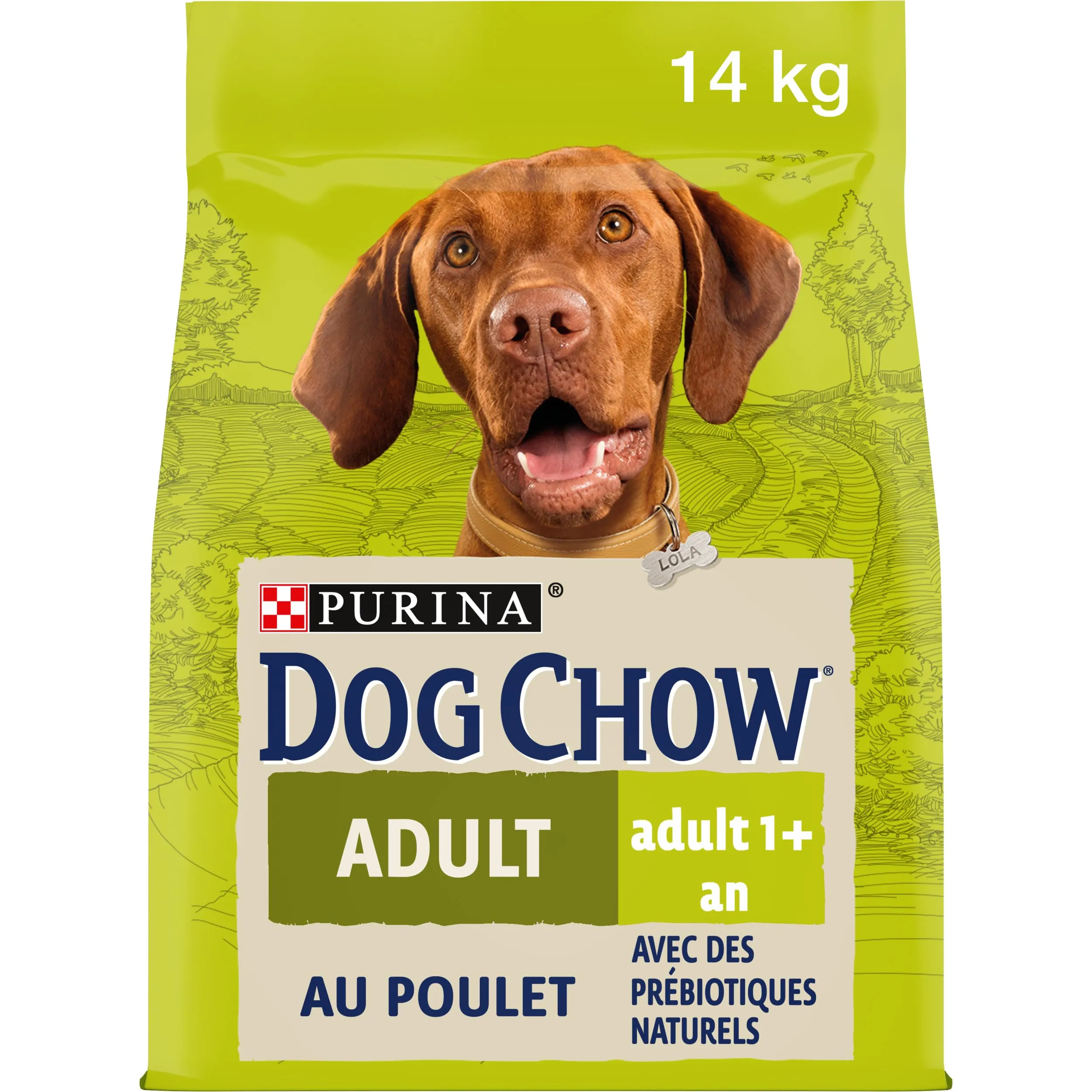 PURINA DOG CHOW Crocchette per Cani Adulti con Pollo Sacco da 14kg