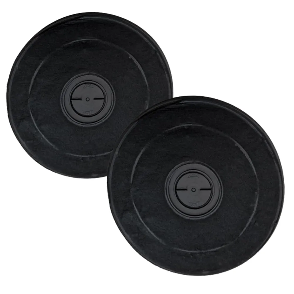 DL SERVICE Filtro per Cappa Faber Flaminia | Filtro in carbone attivo di ricambio compatibile con cappa aspirante Flaminia | Confezione di 2 filtri