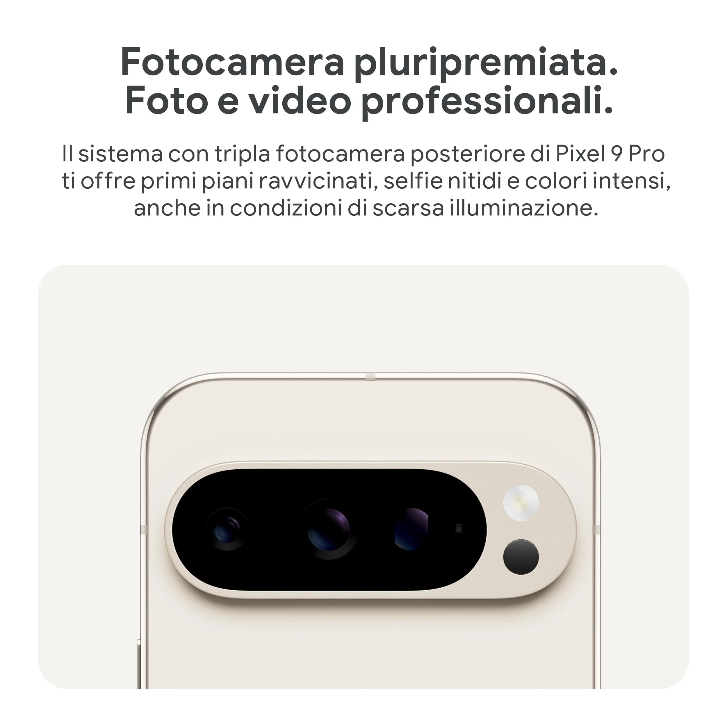 Miniatura 10