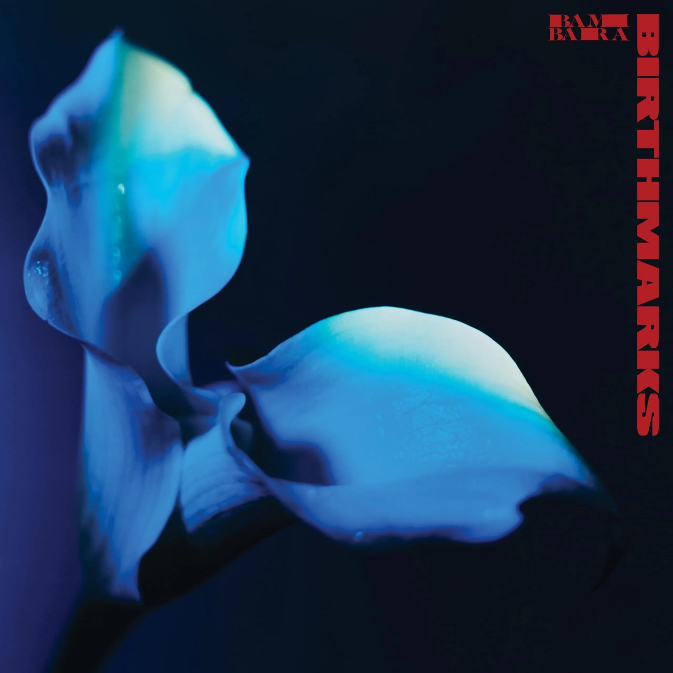 Birthmarks Red Vinyl + Poster