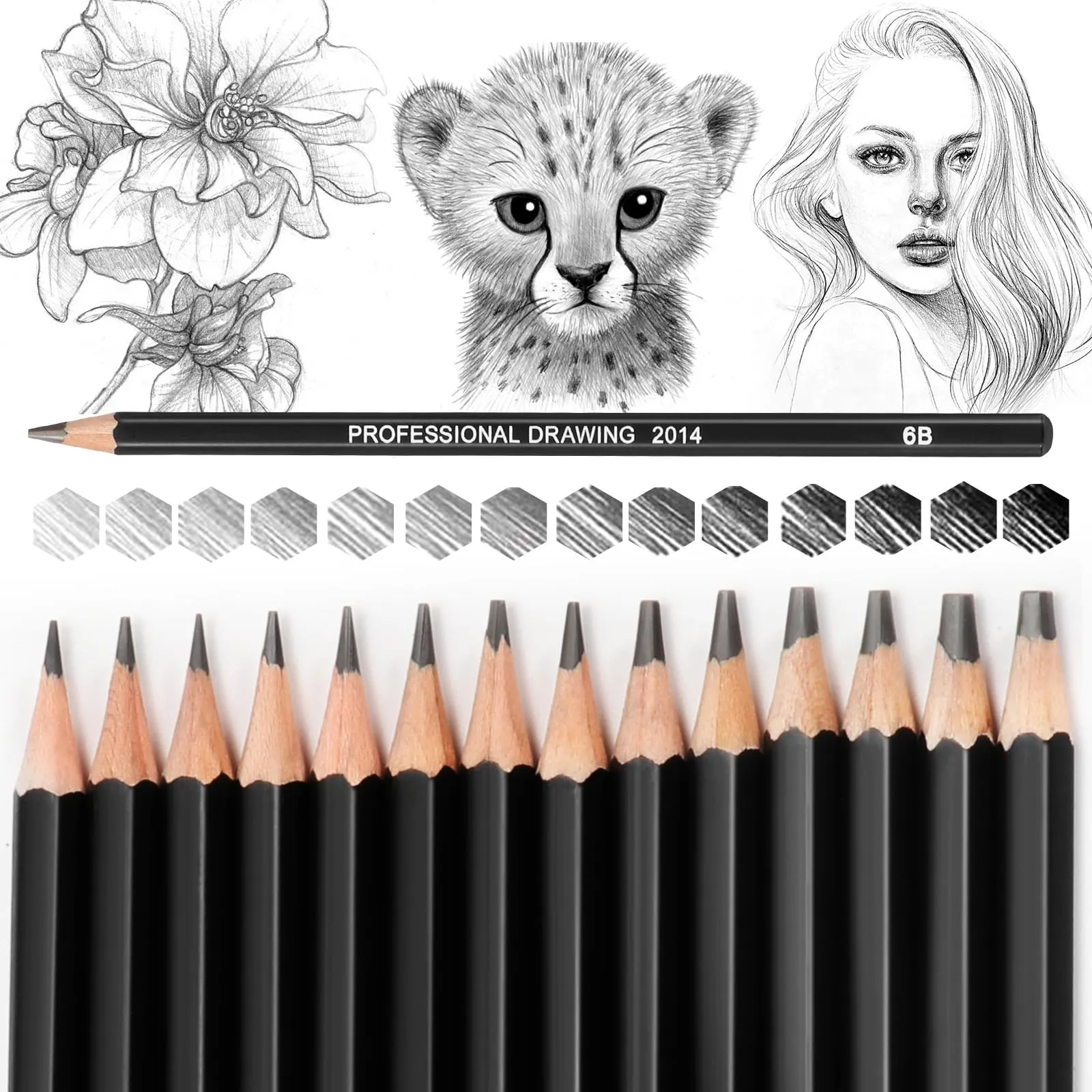 Blendura 14 Matite da Disegno Professionali Matite per Schizzi Set 12B, 10B, 8B, 7B, 6B, 5B, 4B, 3B, 2B, B, HB, 2H, 4H, 6H