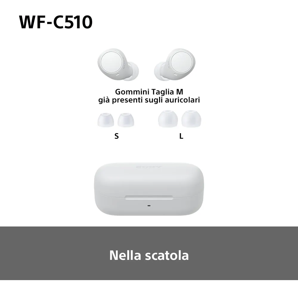 Miniatura 14