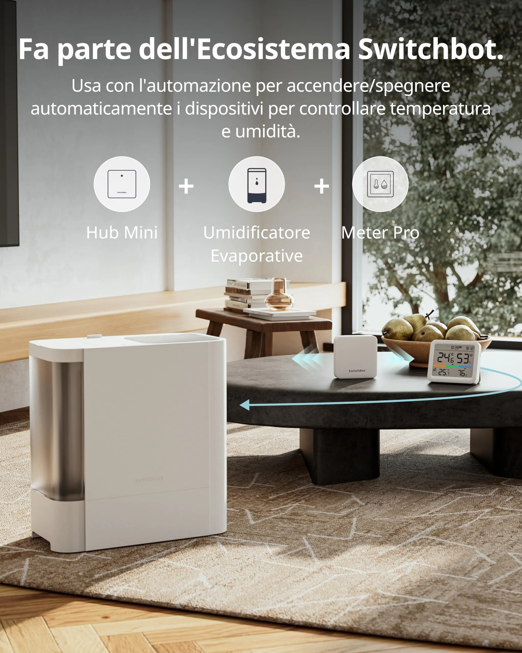 Miniatura 8