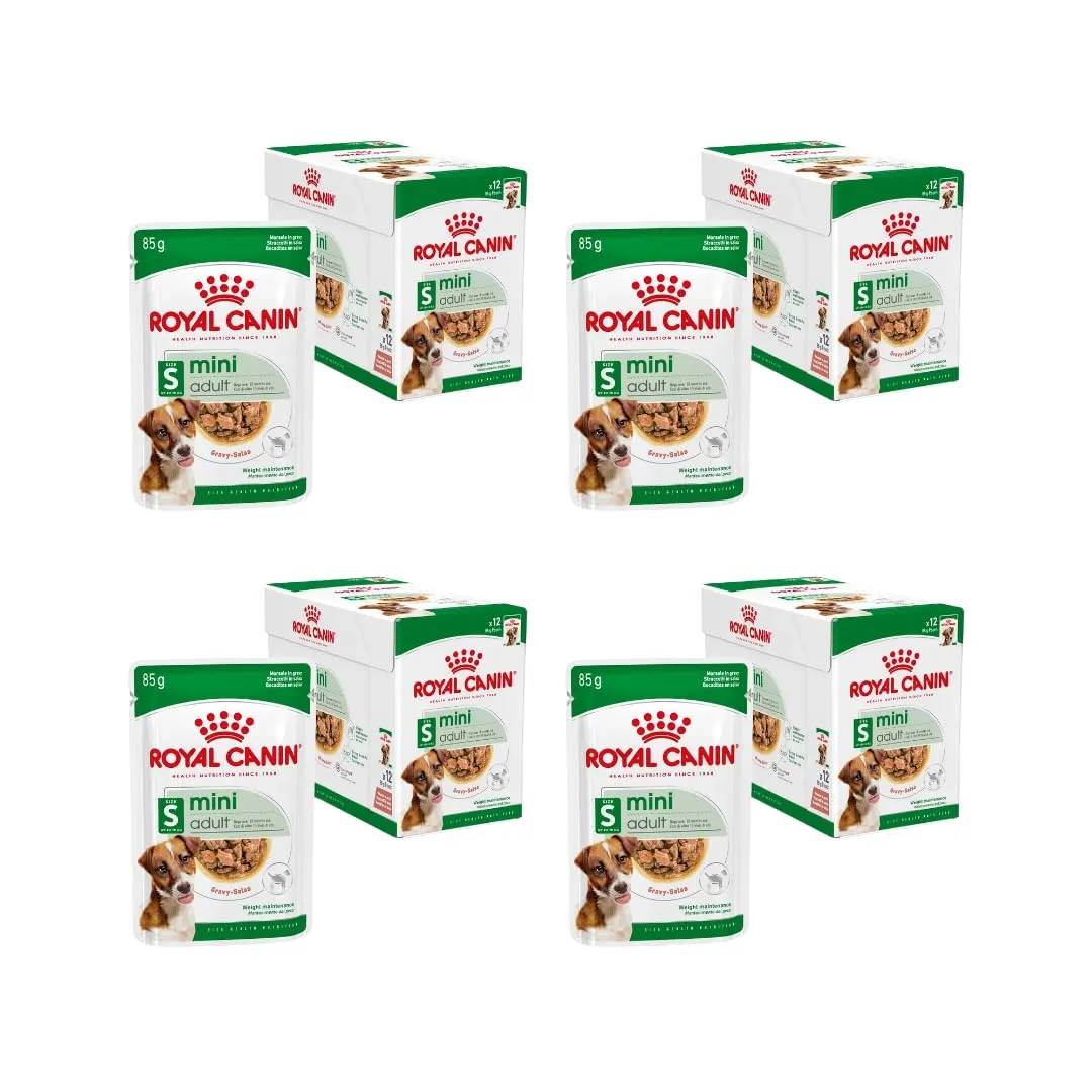 Royal Canin Mini Adult in Salsa | Confezione da 4 | 4 x 12 x 85 g | Alimento umido per cani adulti di piccola taglia (da 1 a 10 kg) | Da 10 mesi a 12 anni | Contenuto energetico adattato