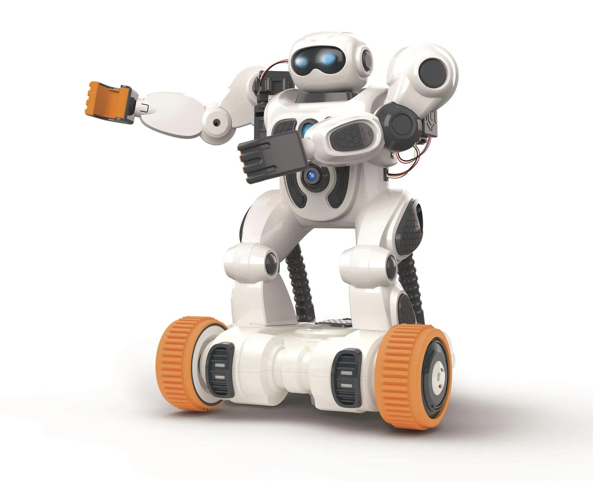 Miniatura 8