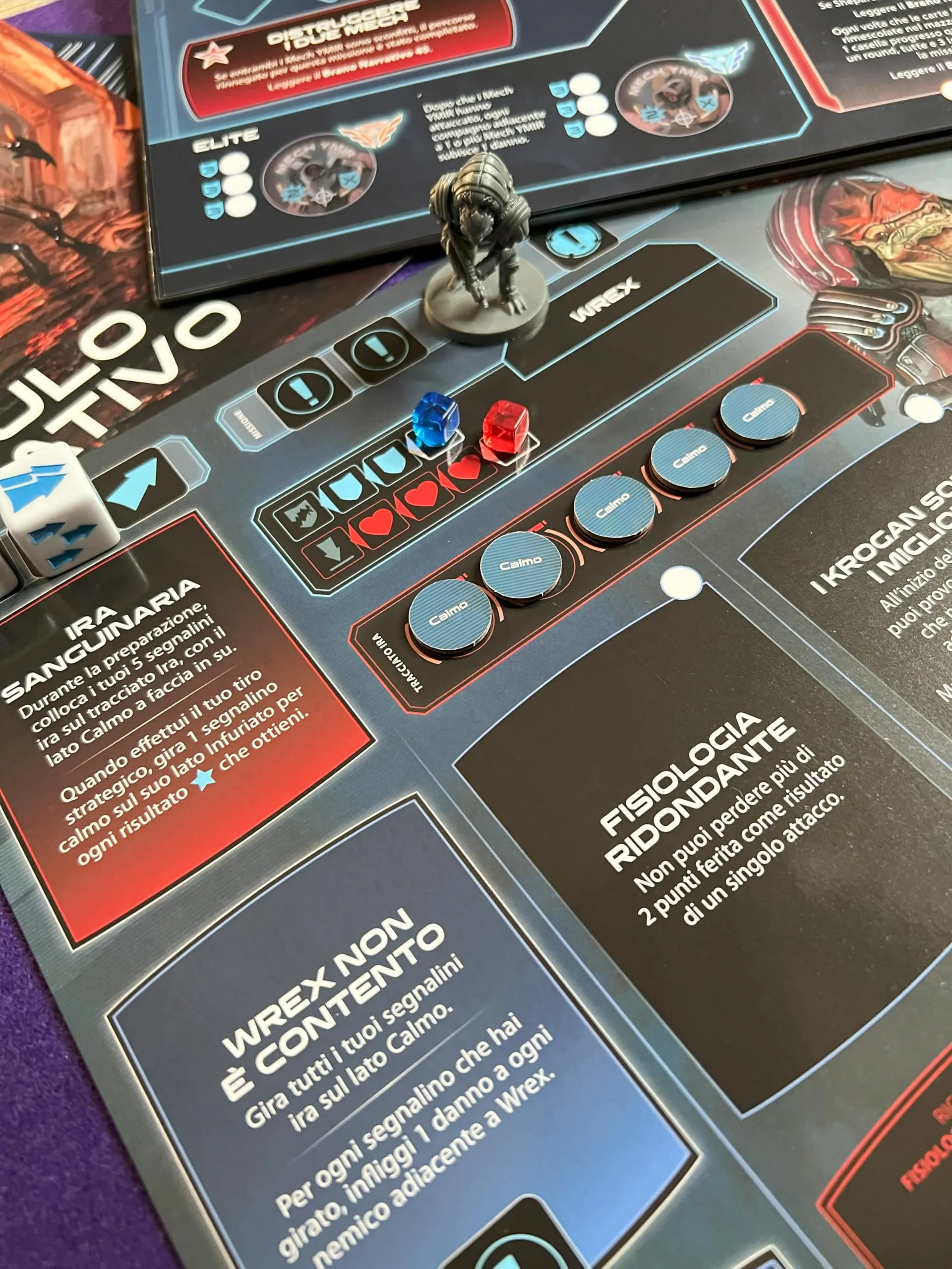 Miniatura 7