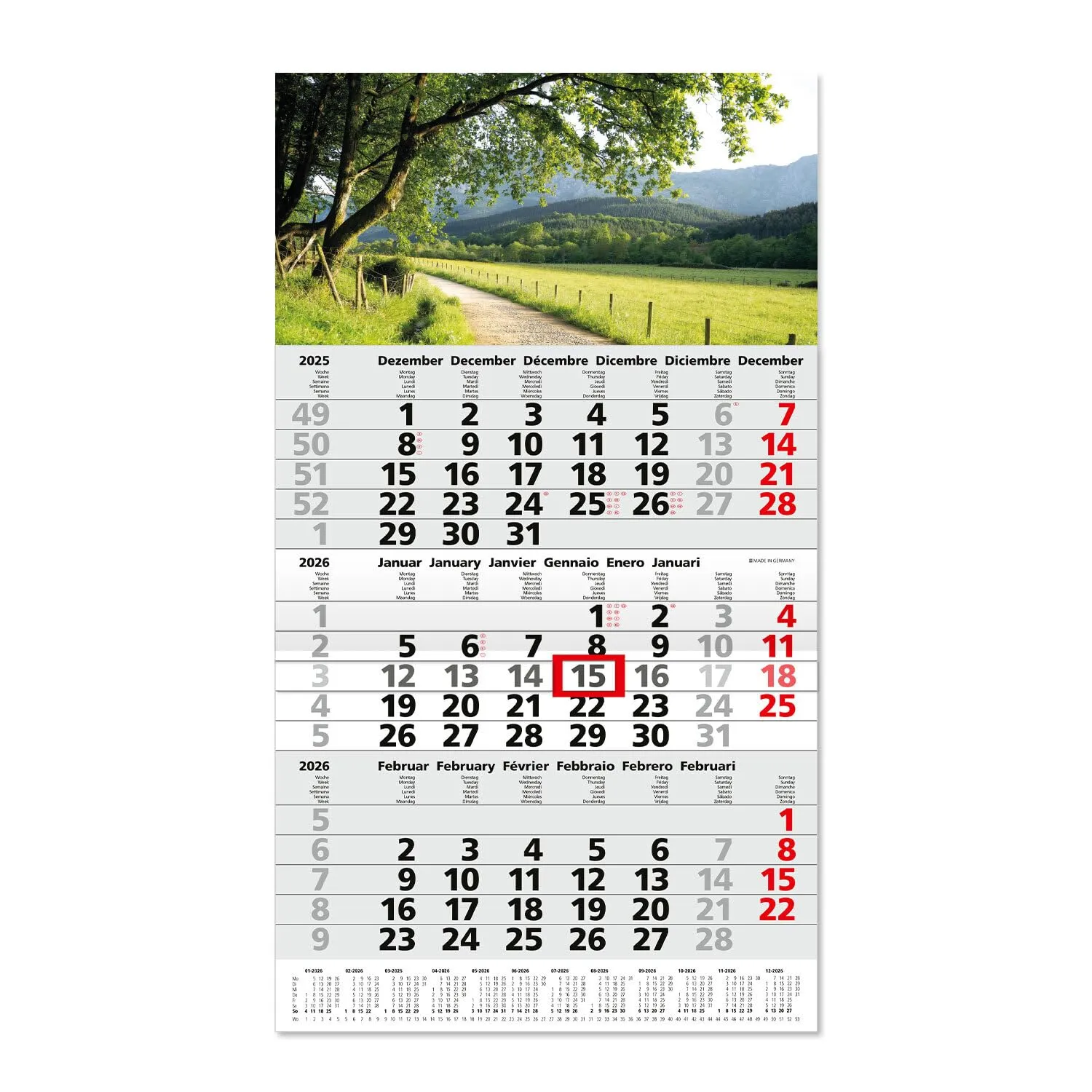 Calendario da 3 mesi 2025 I Calendario da parete 3 mesi 1 foglio I 30 x 53 cm I multilingue D/GB/F/I/E/NL Planner annuale con cursore e gancio per appenderlo