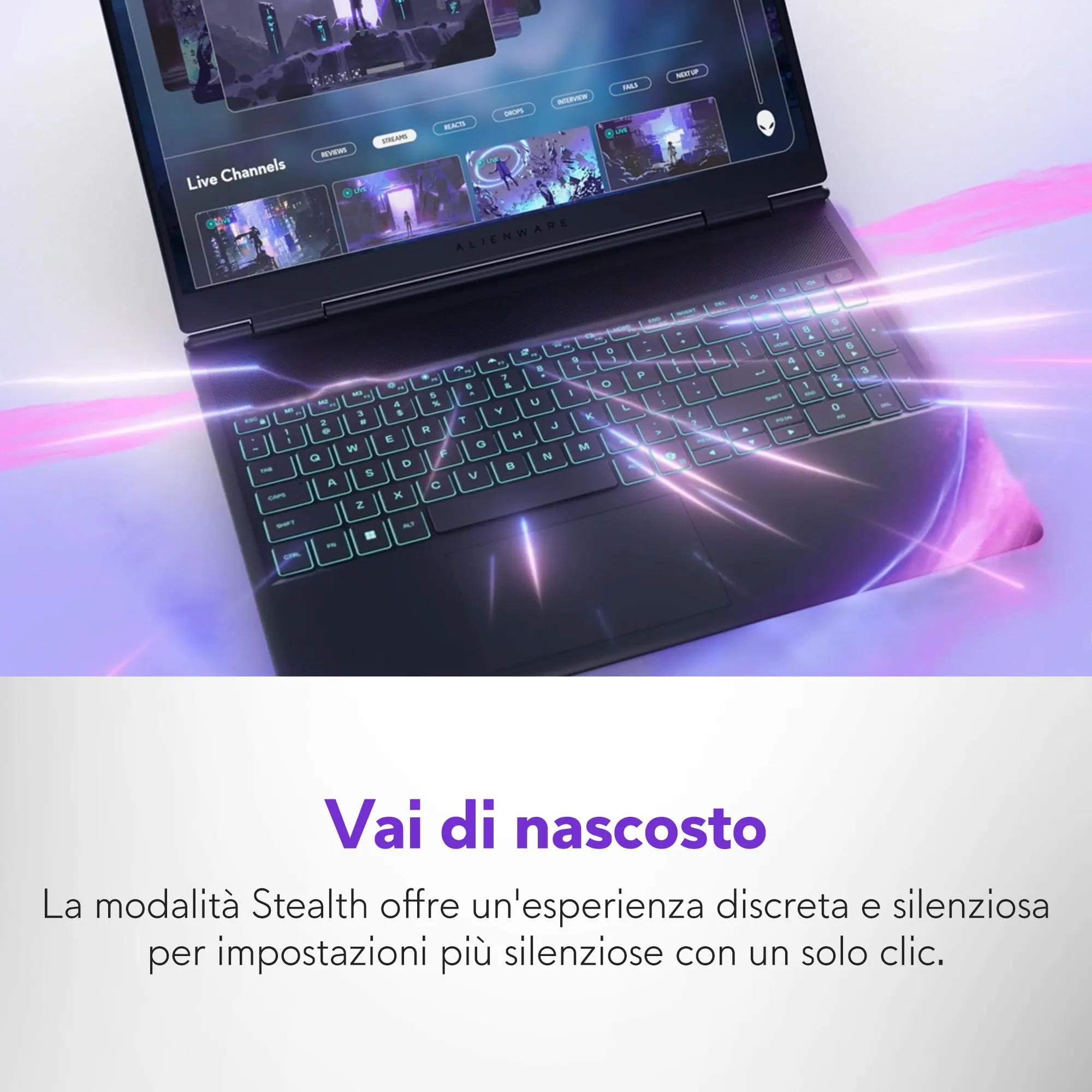Miniatura 14