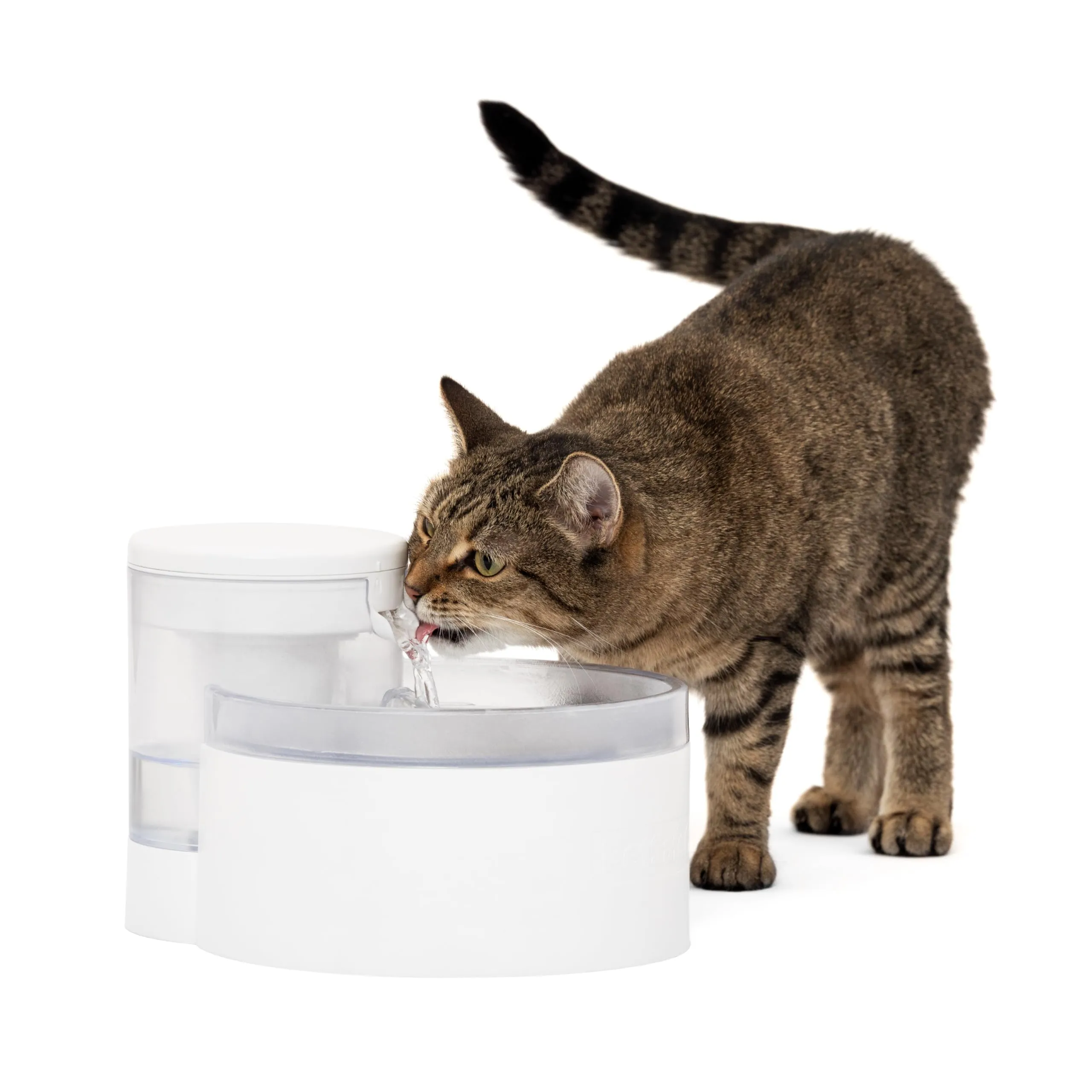 Fontana senza pompa PetSafe Outlast, 1,7 l, fontana per cani di piccola taglia e gatti, lavabile in lavastoviglie, facile da montare e pulire, filtro dell'acqua incluso