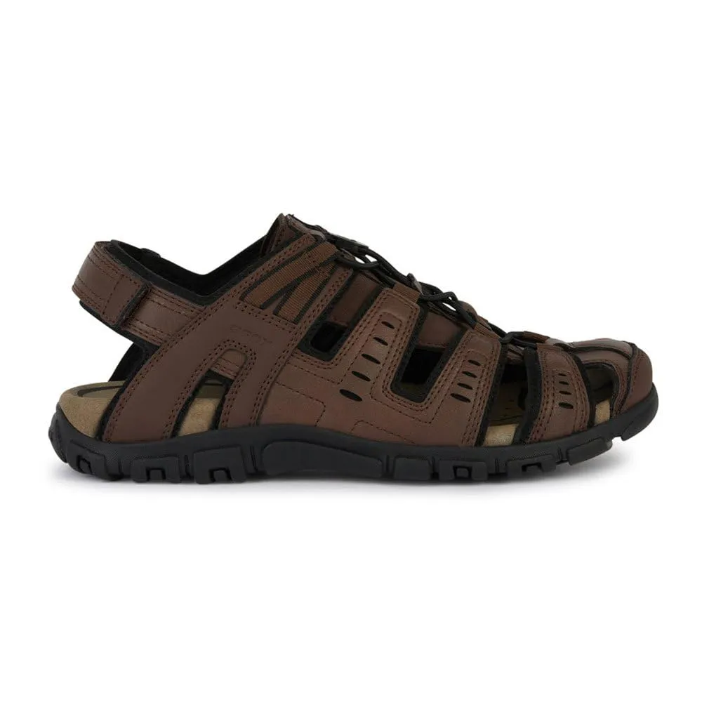 Geox Uomo Sandal Strada Sportivi, Marrone Scuro, 43 EU