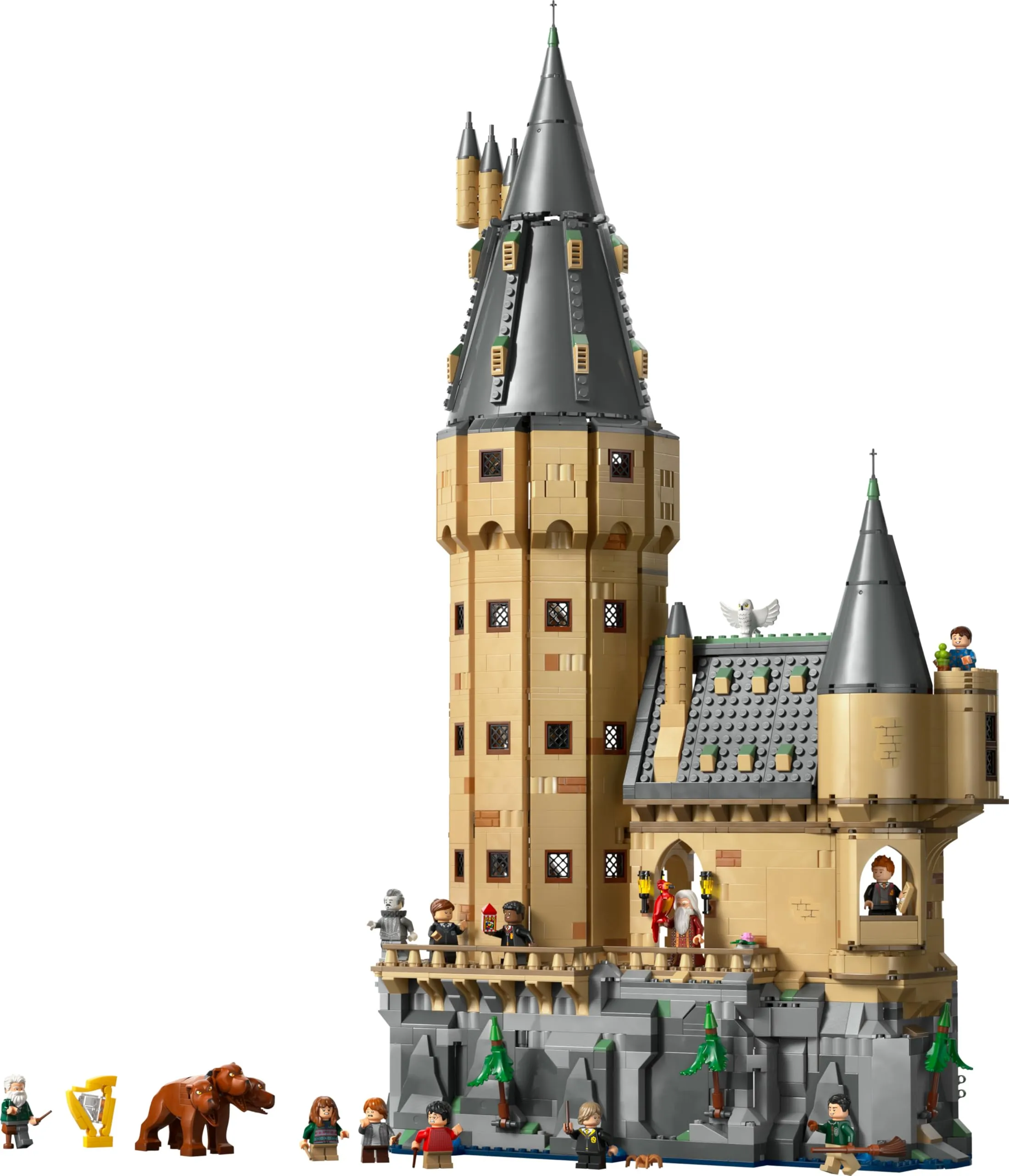 Miniatura 10