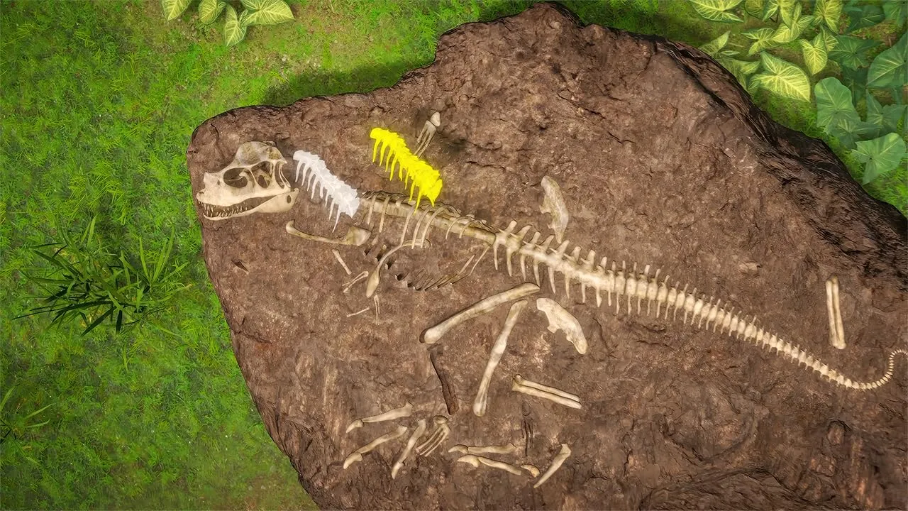 Miniatura 7
