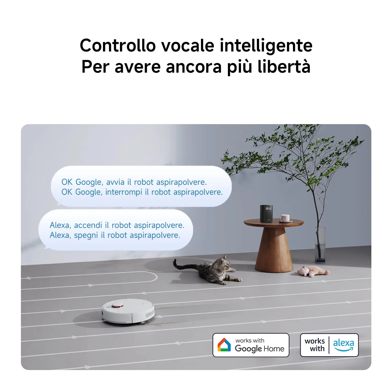 Miniatura 11
