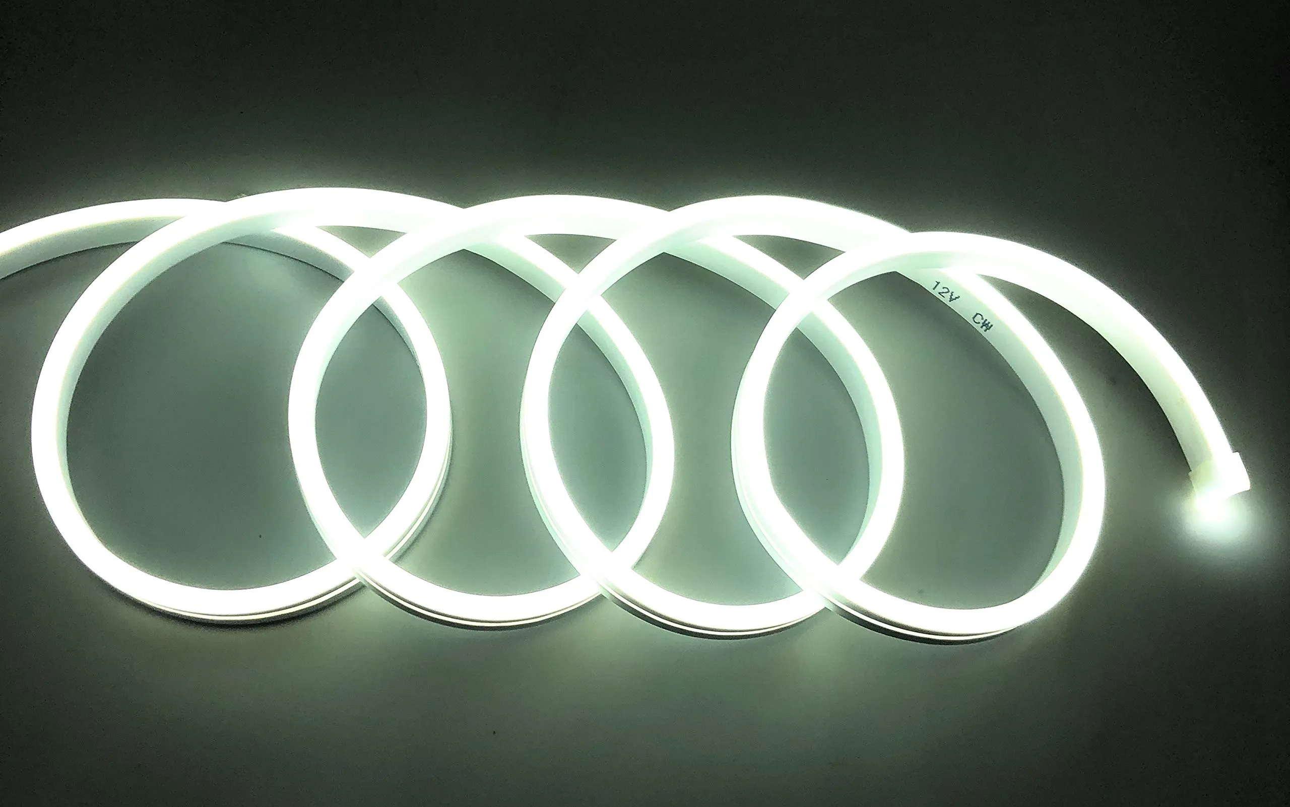 Striscia LED al neon flessibile impermeabile IP65 5 metri 120 LED/m 12 V colore freddo